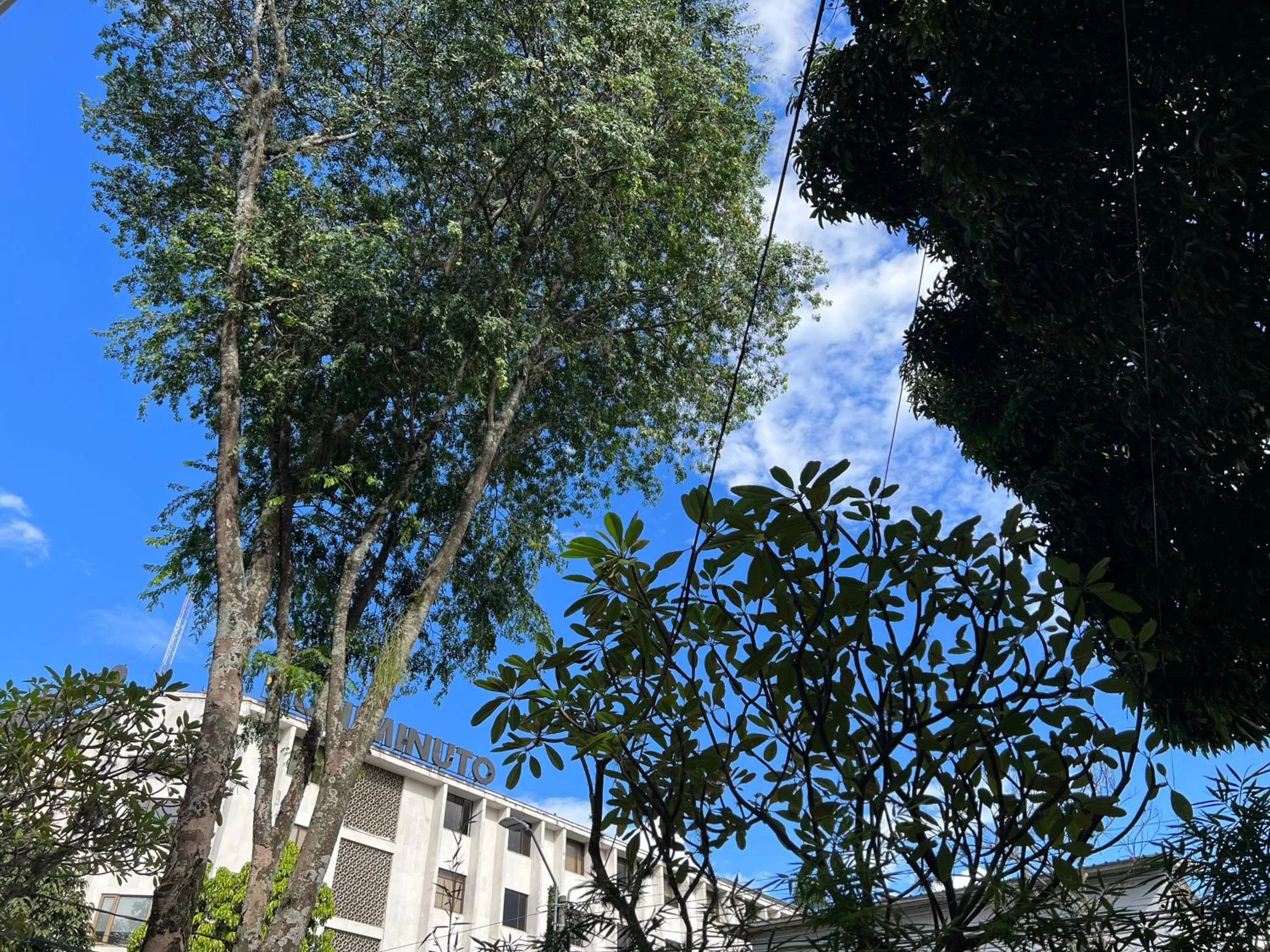 Quiet street view in HOTEL 9.5 SAN FERNANDO