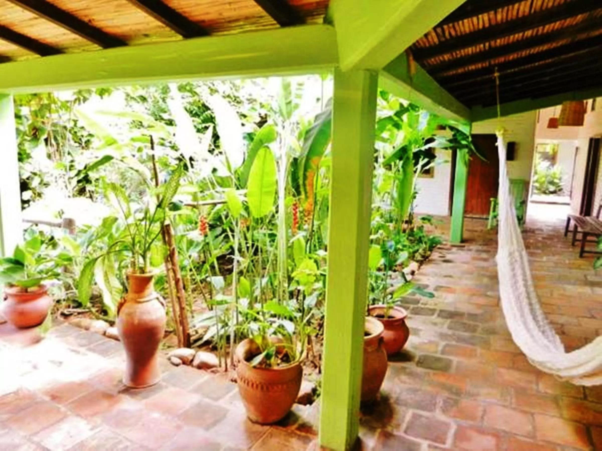 Garden in La Buena Vista