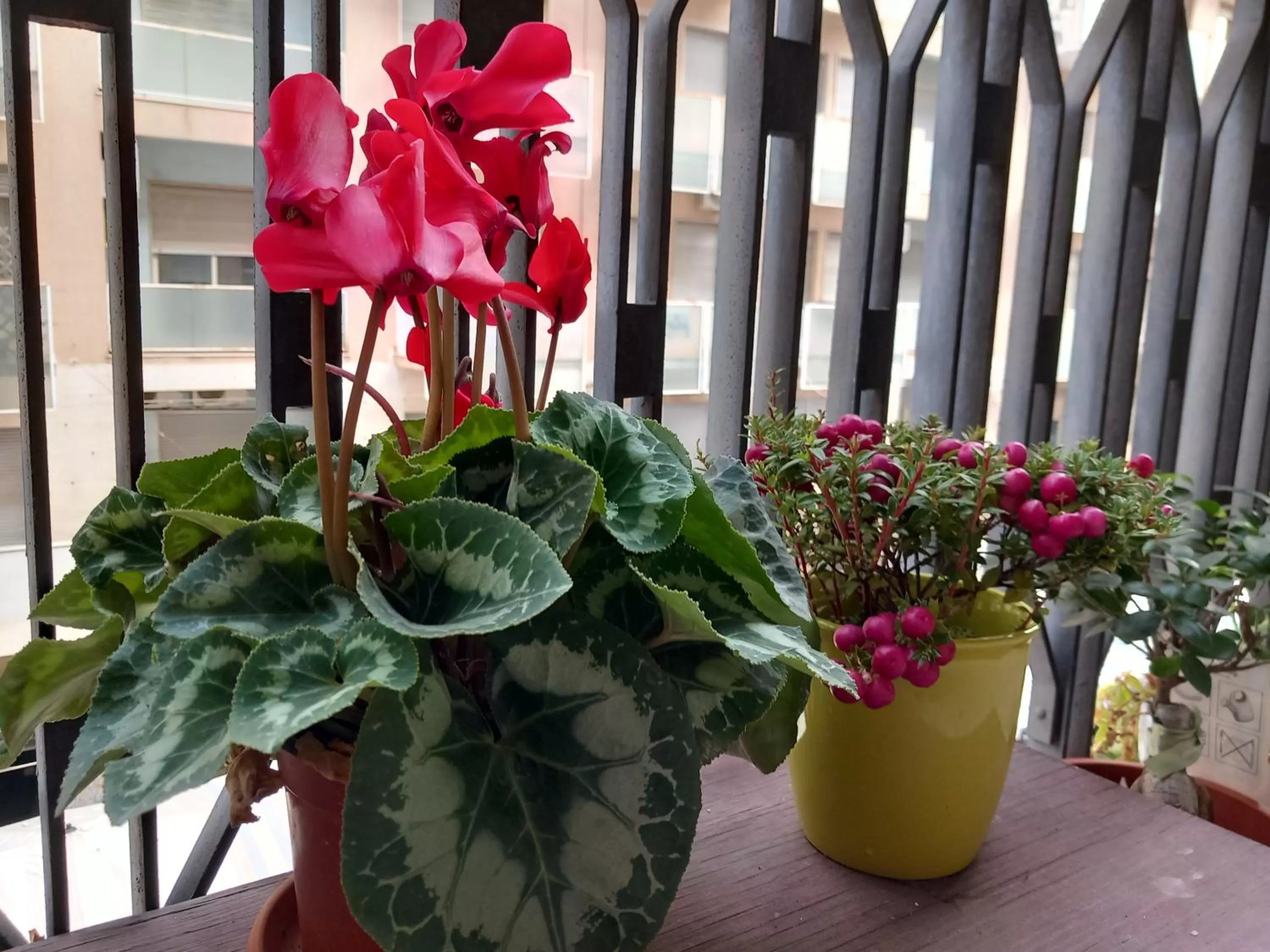 La valigia sul letto