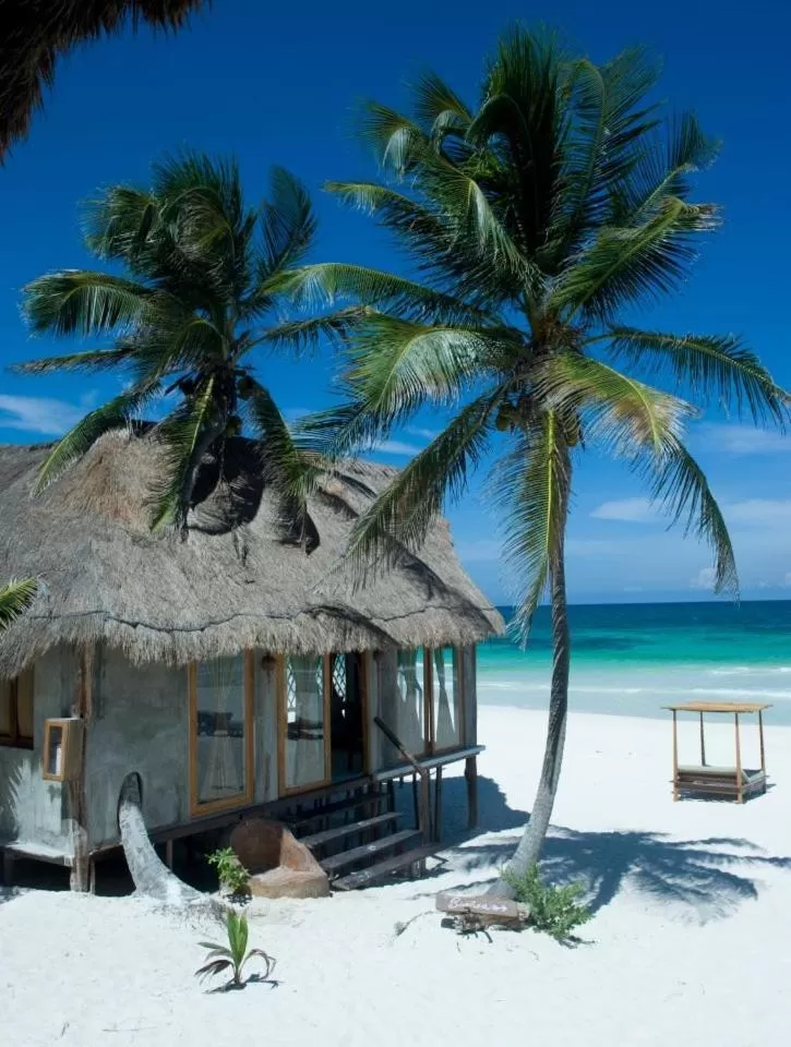 Day, Property Building in Casa Violeta