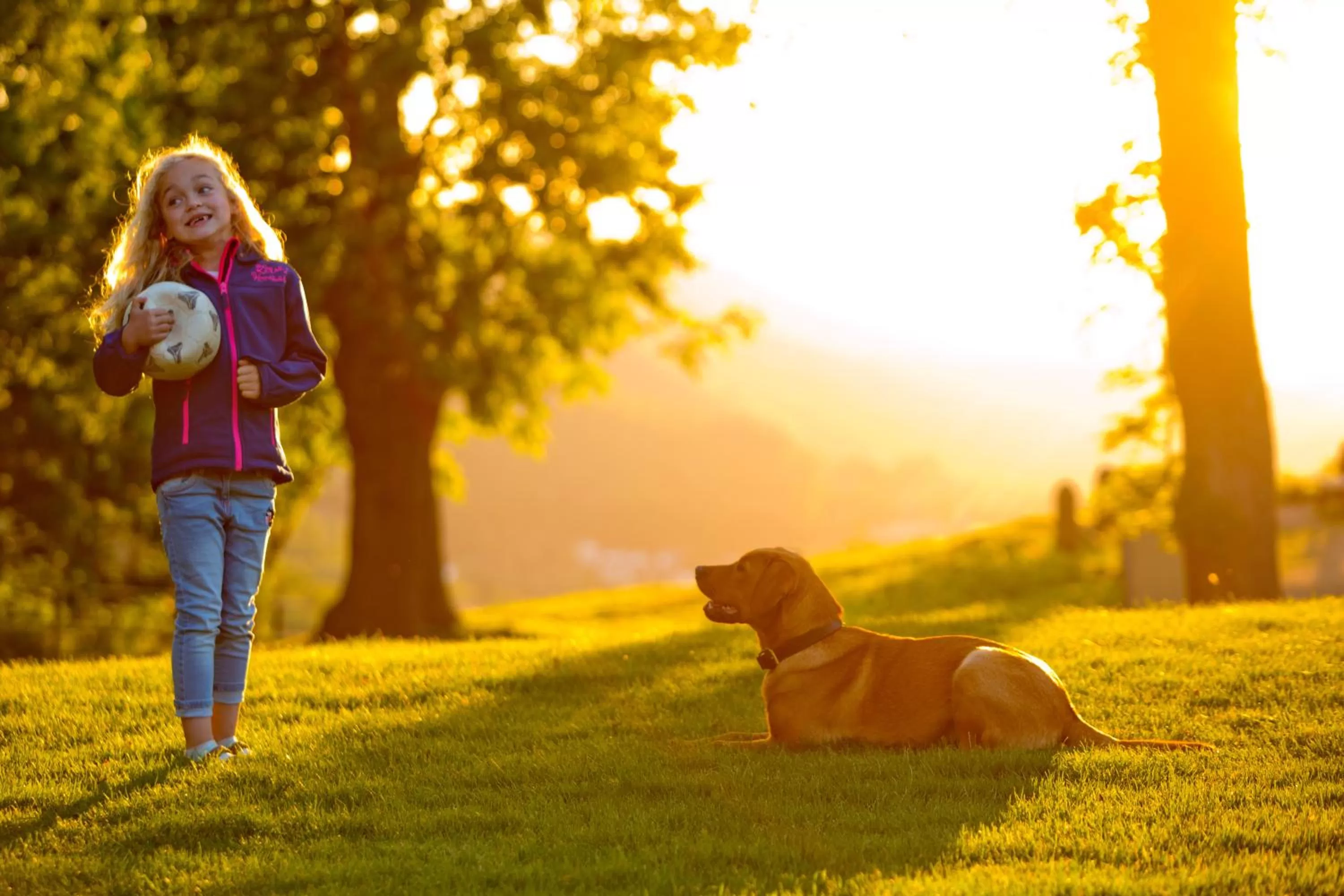 Natural landscape in Plumbohms Aussichtsreich Gast- und Logierhaus