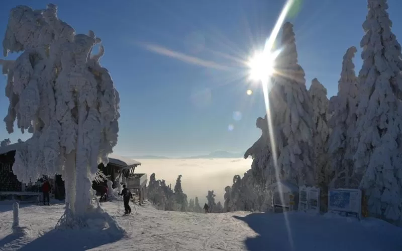 Skiing in Genusshotel Hohenbogen