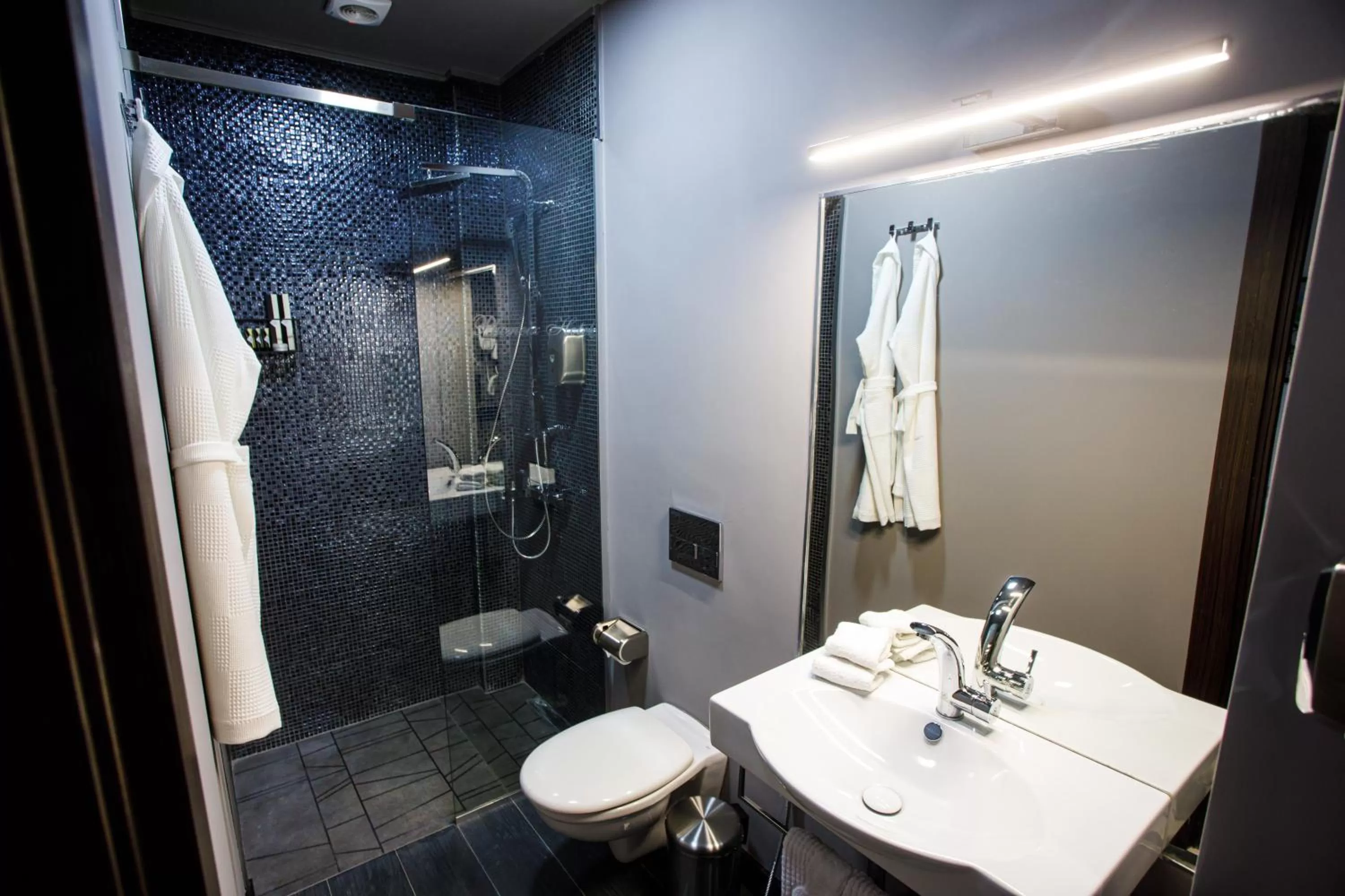 Toilet in The Phoenix Boutique Hotel