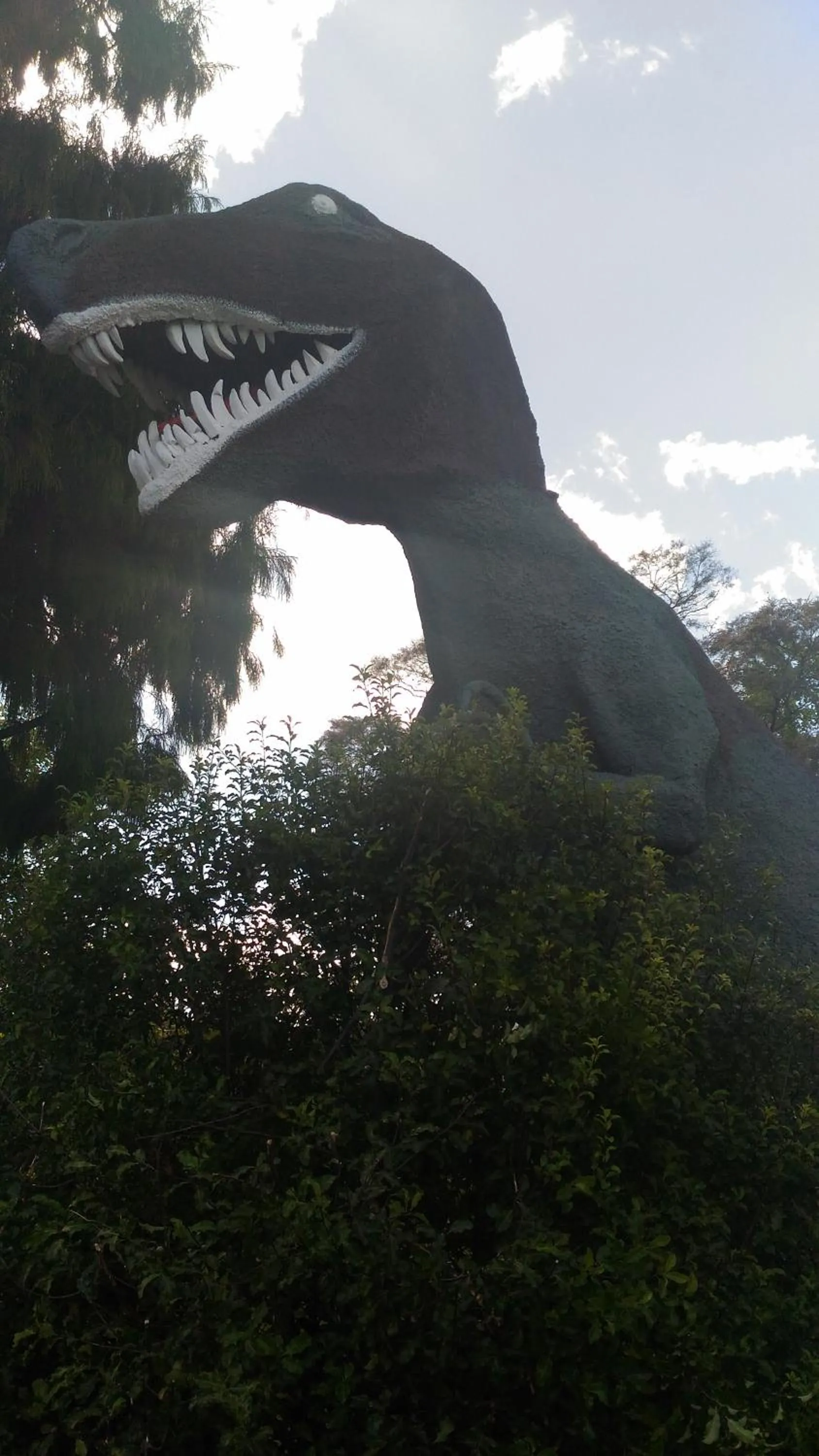 Decorative detail in All Seasons Holiday Park