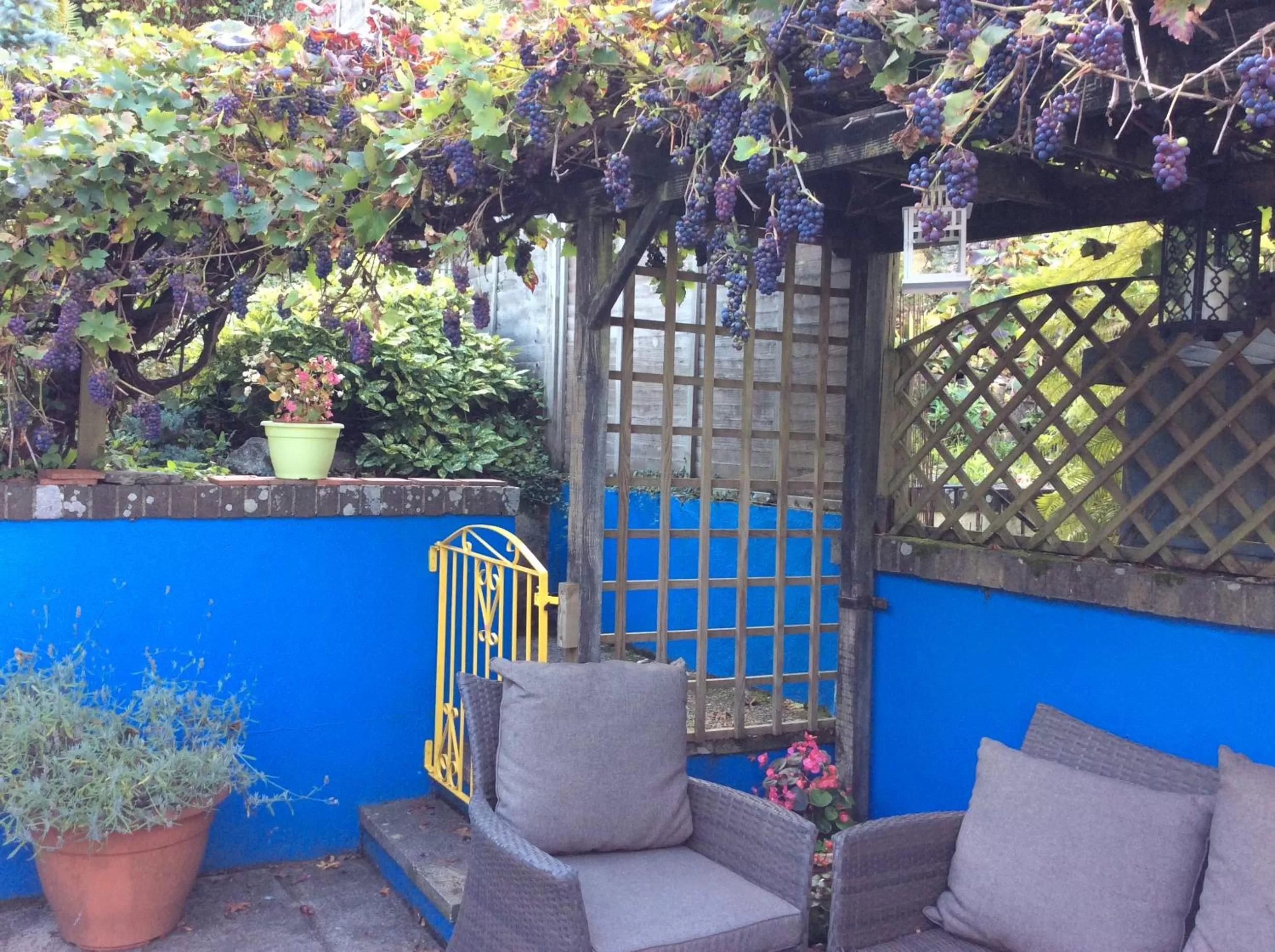 Garden in The Great Grubb Bed & Breakfast