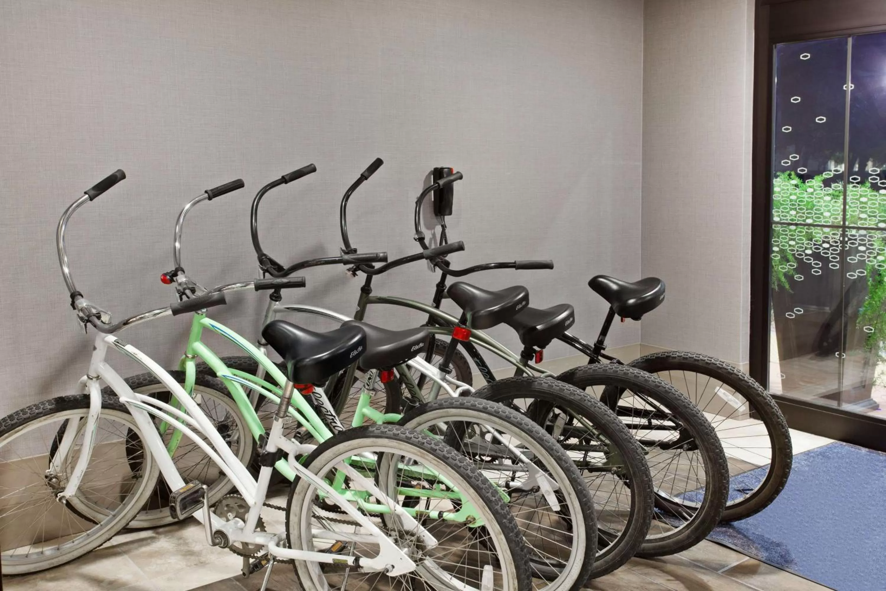 Sports in Hampton Inn & Suites Oakland Airport-Alameda