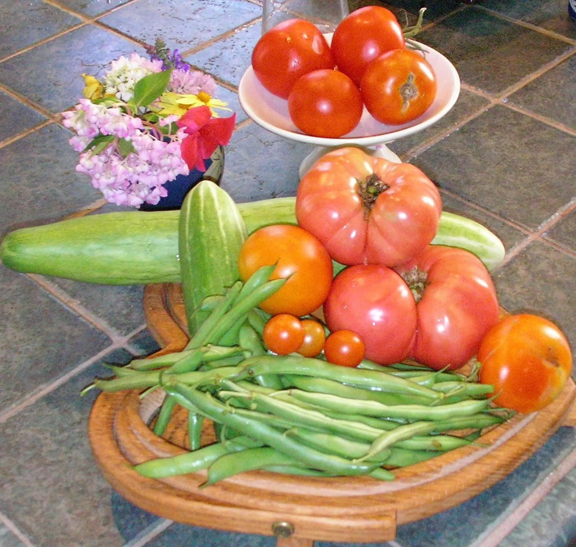 The Pines of Dresden