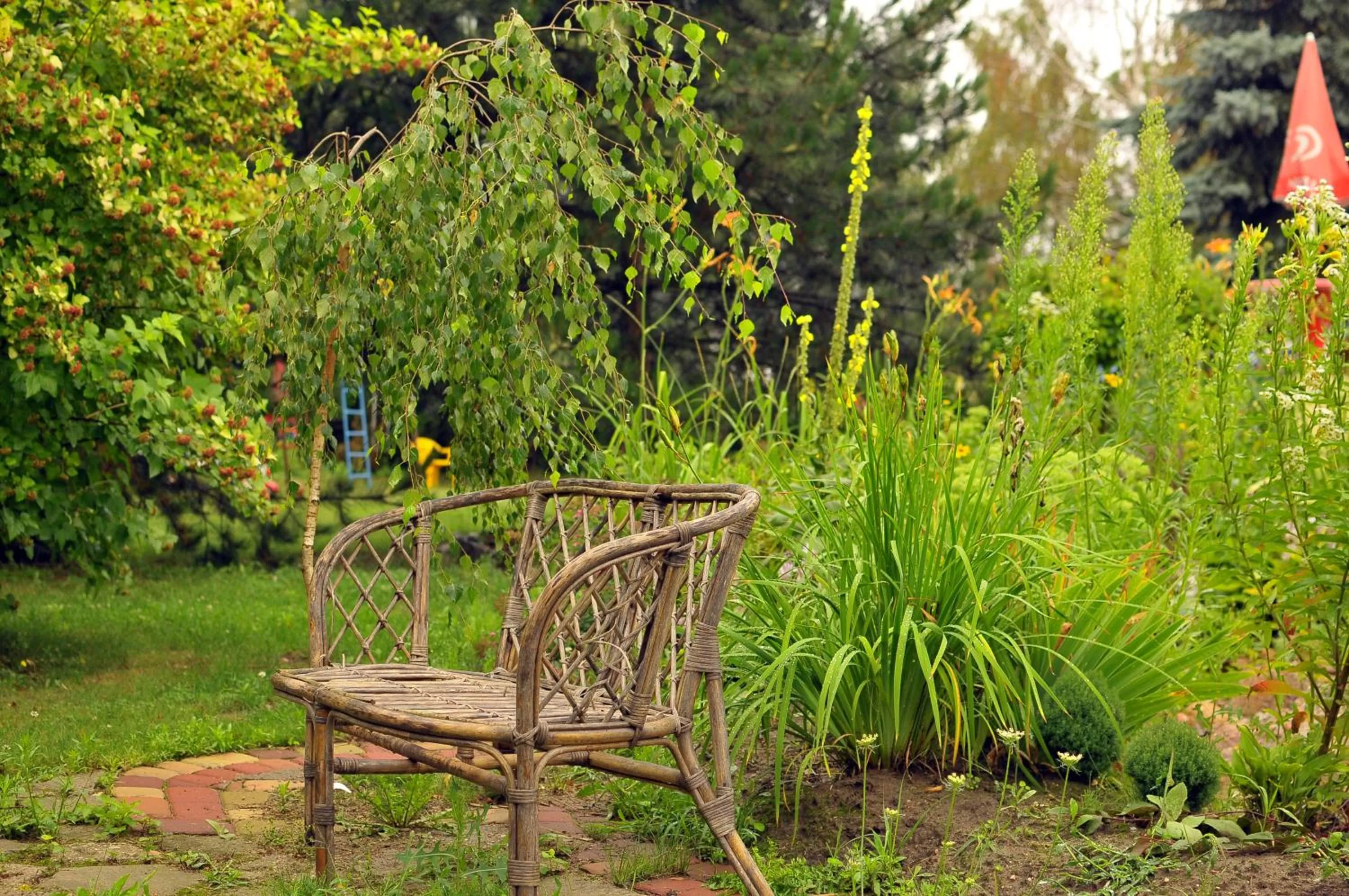 Garden in Hotel Villa Hubertus Kutno