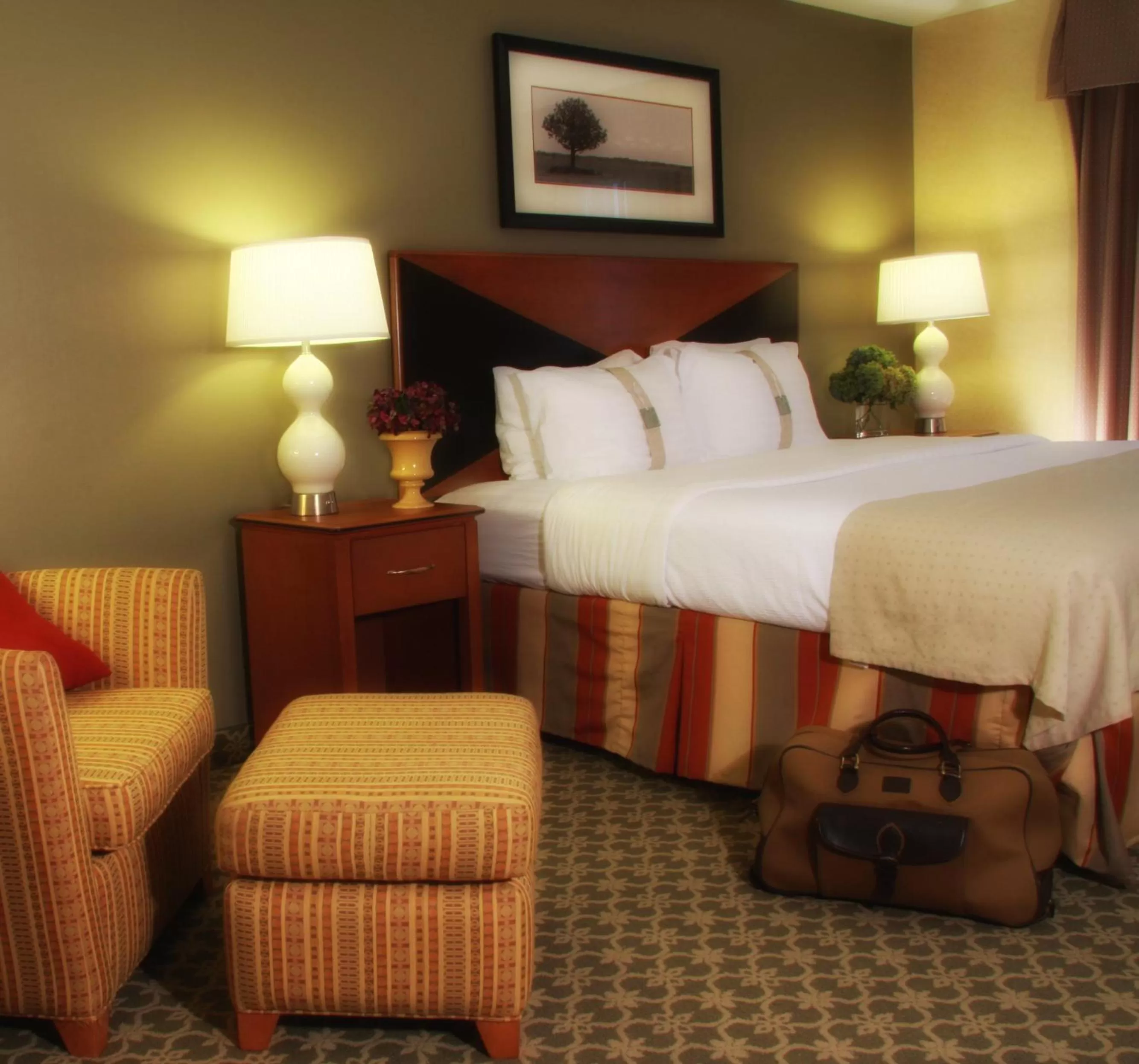 Holiday Inn Carbondale - Conference Center by IHG