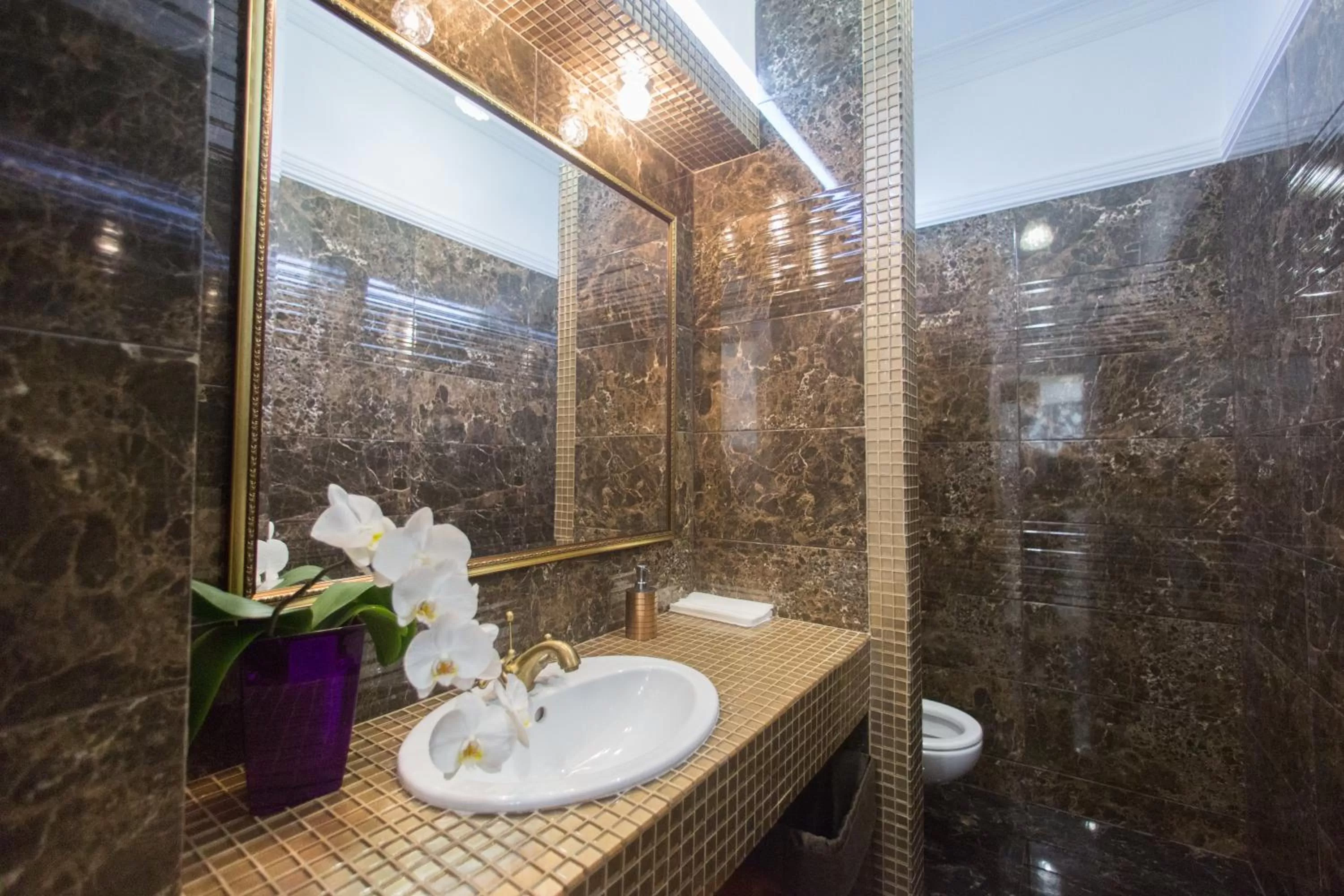 Toilet, Bathroom in Boutique Hotel Deluxe