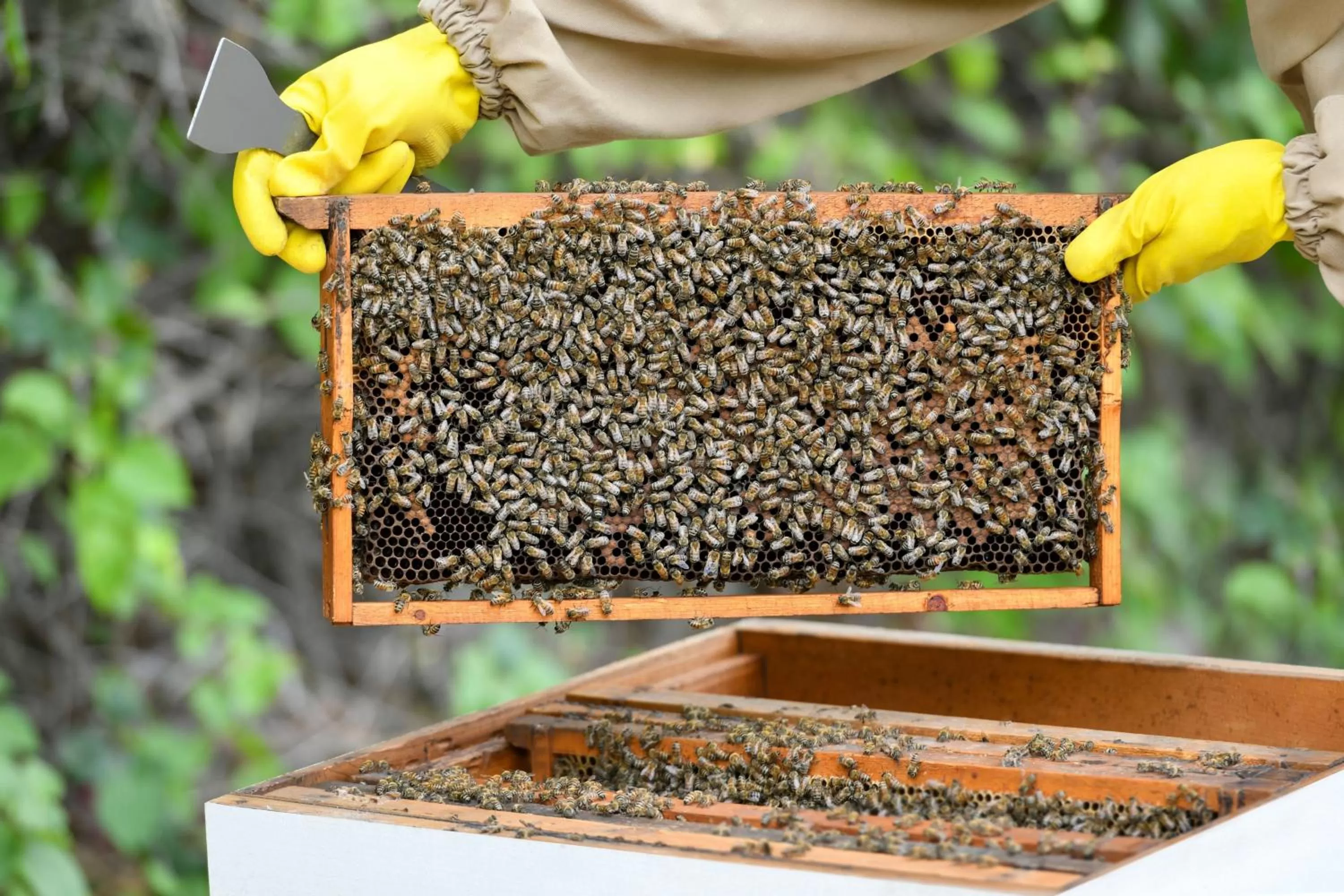 Other in Sharq Village & Spa, a Ritz-Carlton Hotel