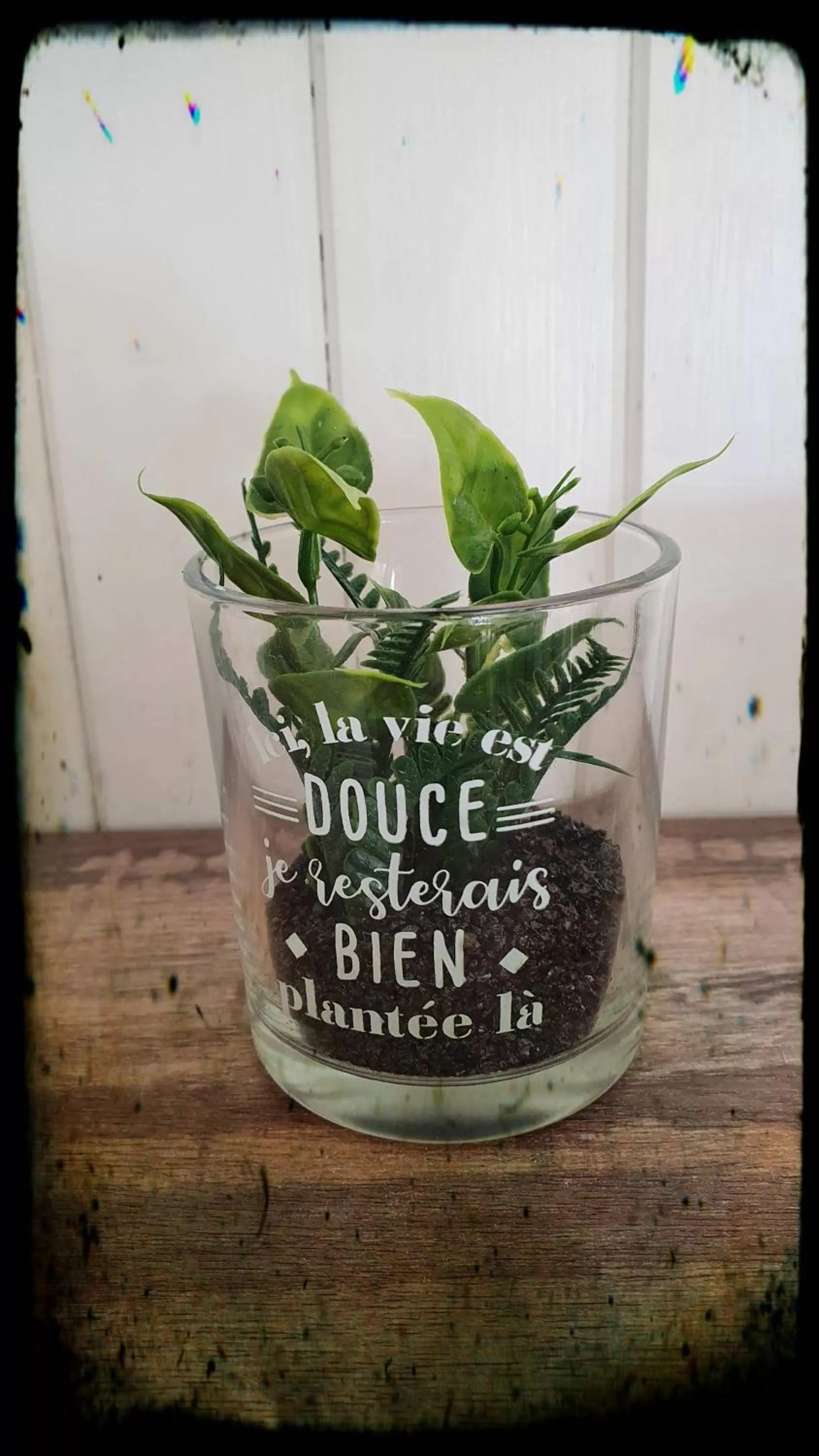 Other in La Maison de la Côte des Légendes