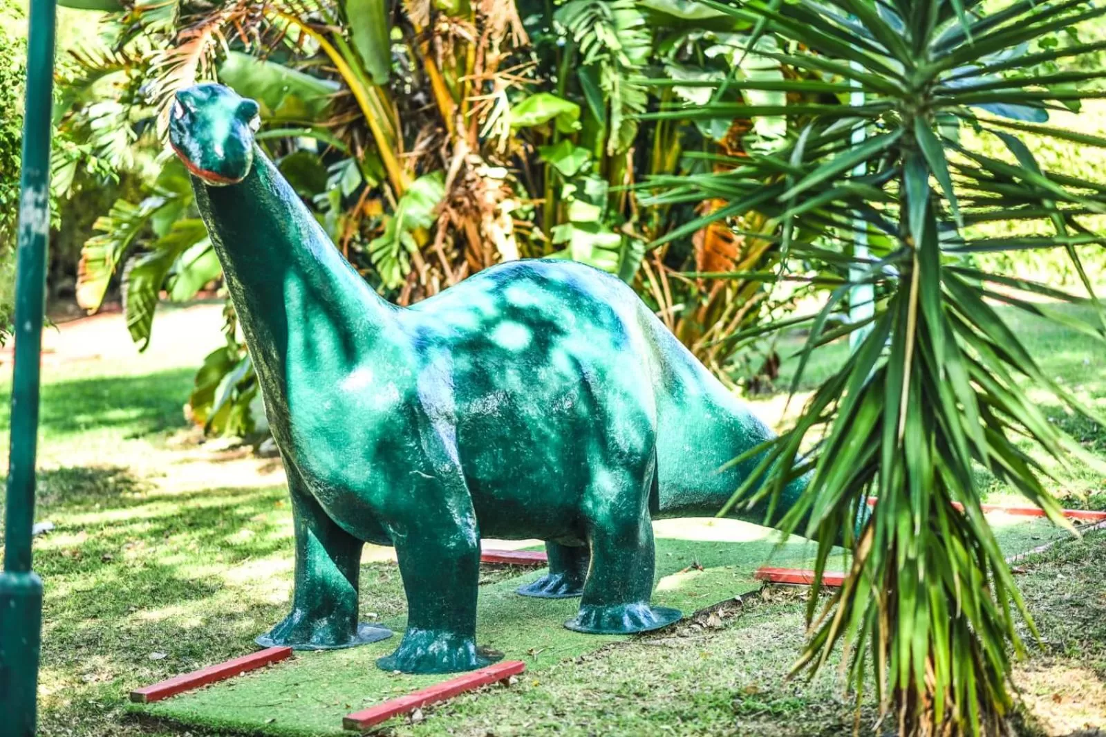 Other Animals in Suite Marina Caesarea