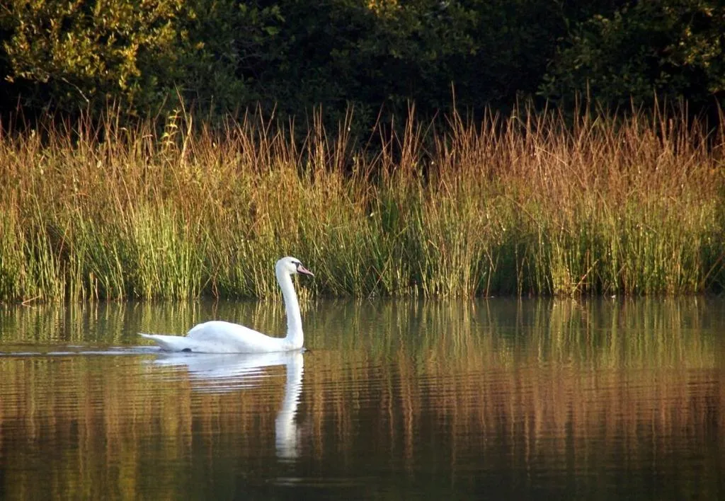 Garden in L'Orée des Chênes, The Originals Relais