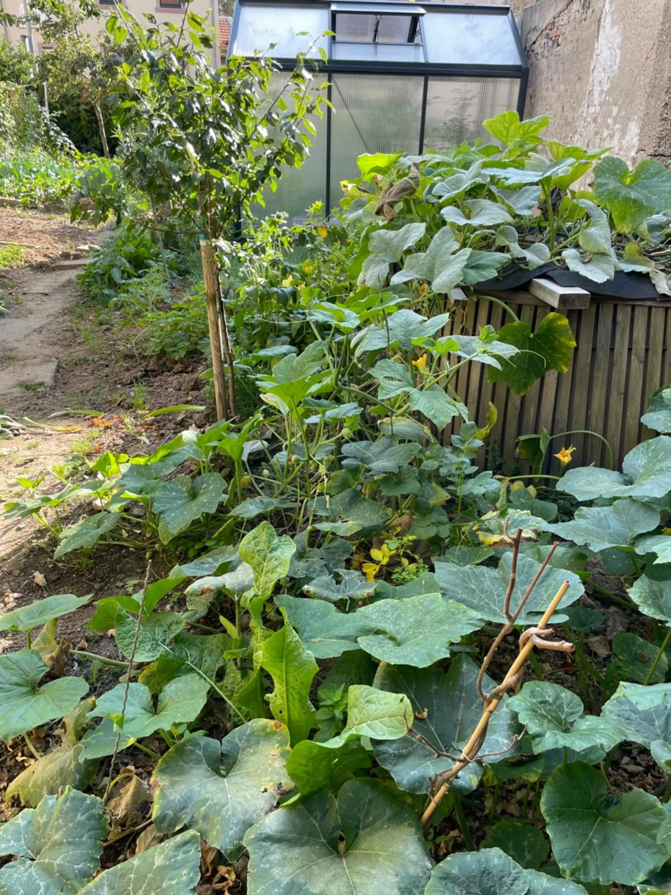 Garden in Jugendstil-Hof