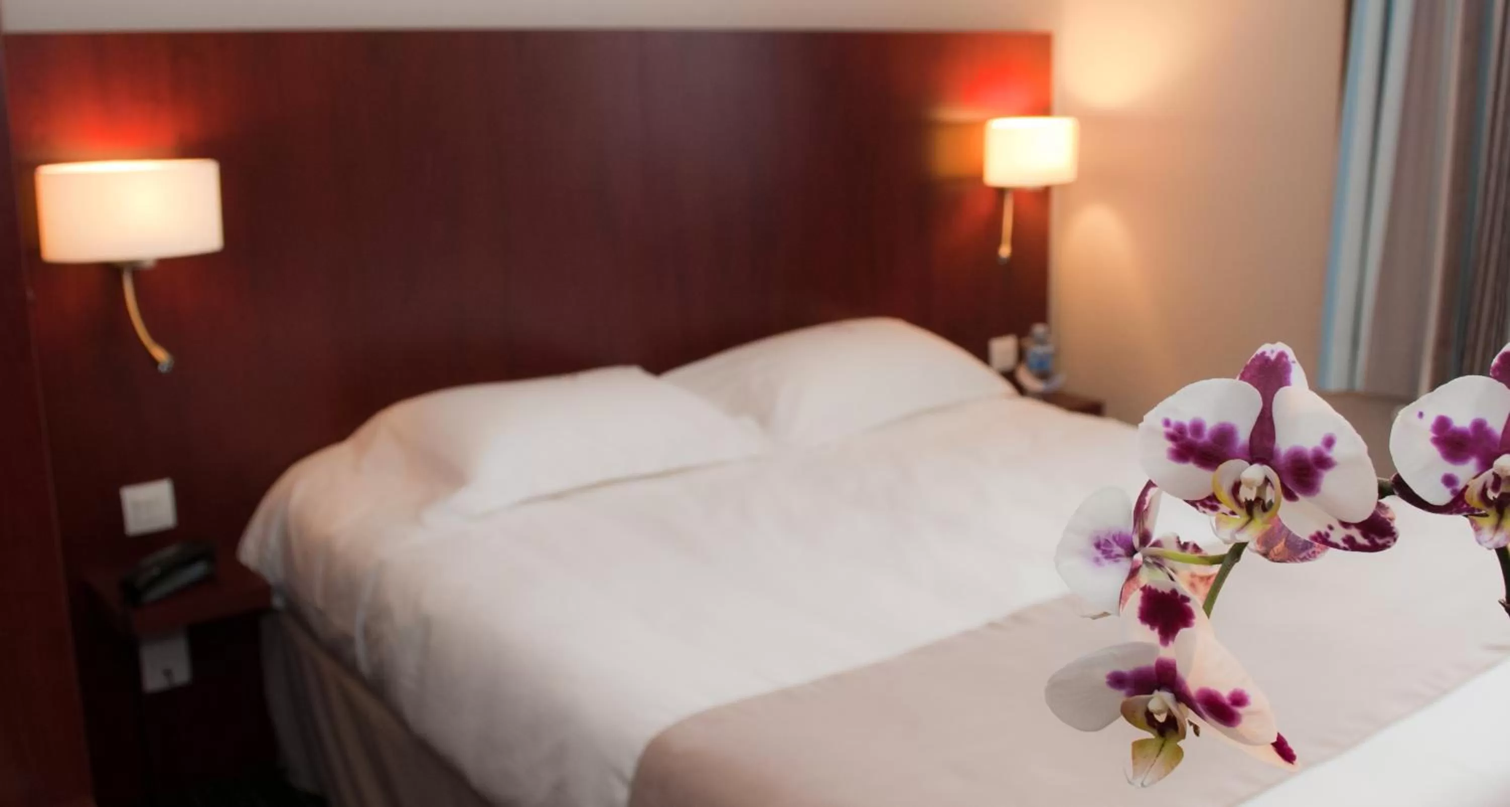 Double Room with One Double Bed in Kyriad Saint-Malo Dinard