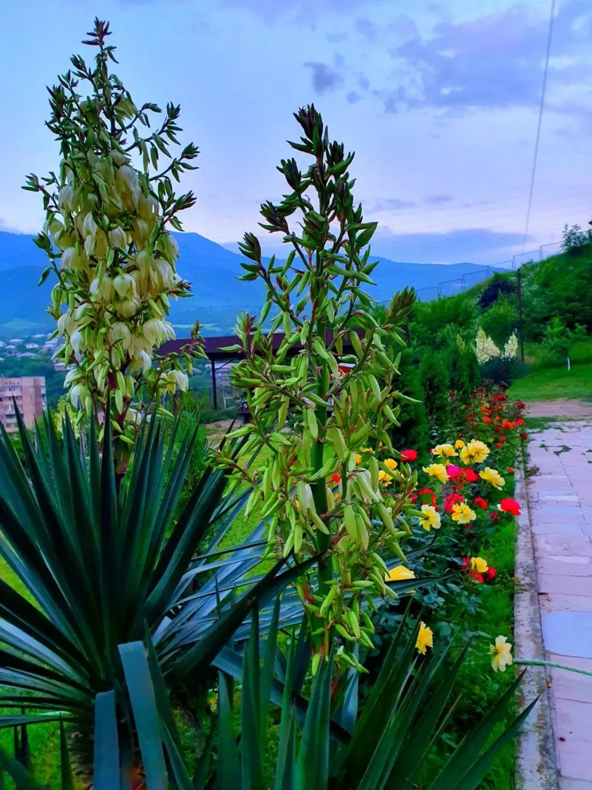 Spring in Guest House Ijevan's Garden