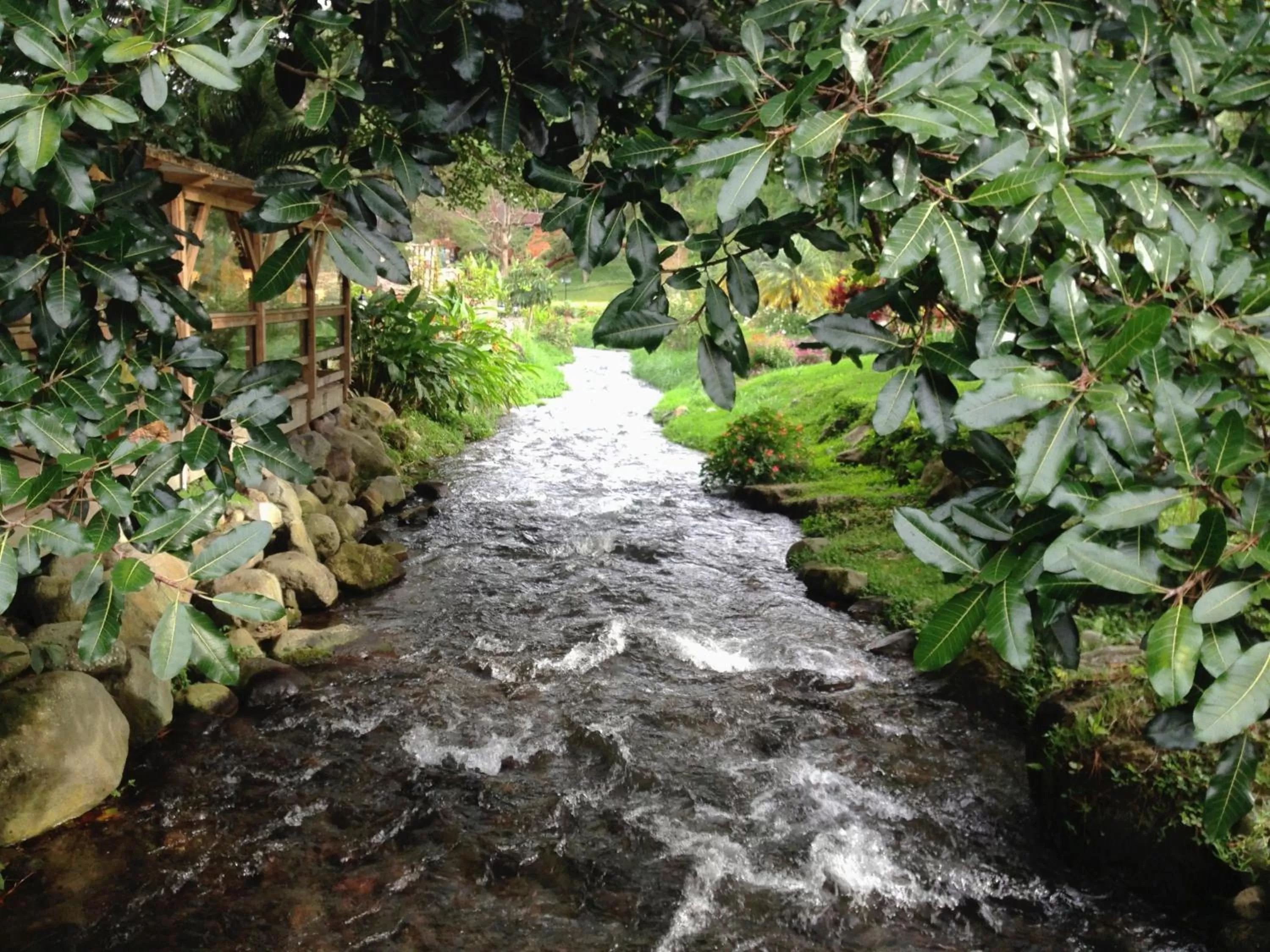 Natural landscape in Valle Escondido Resort