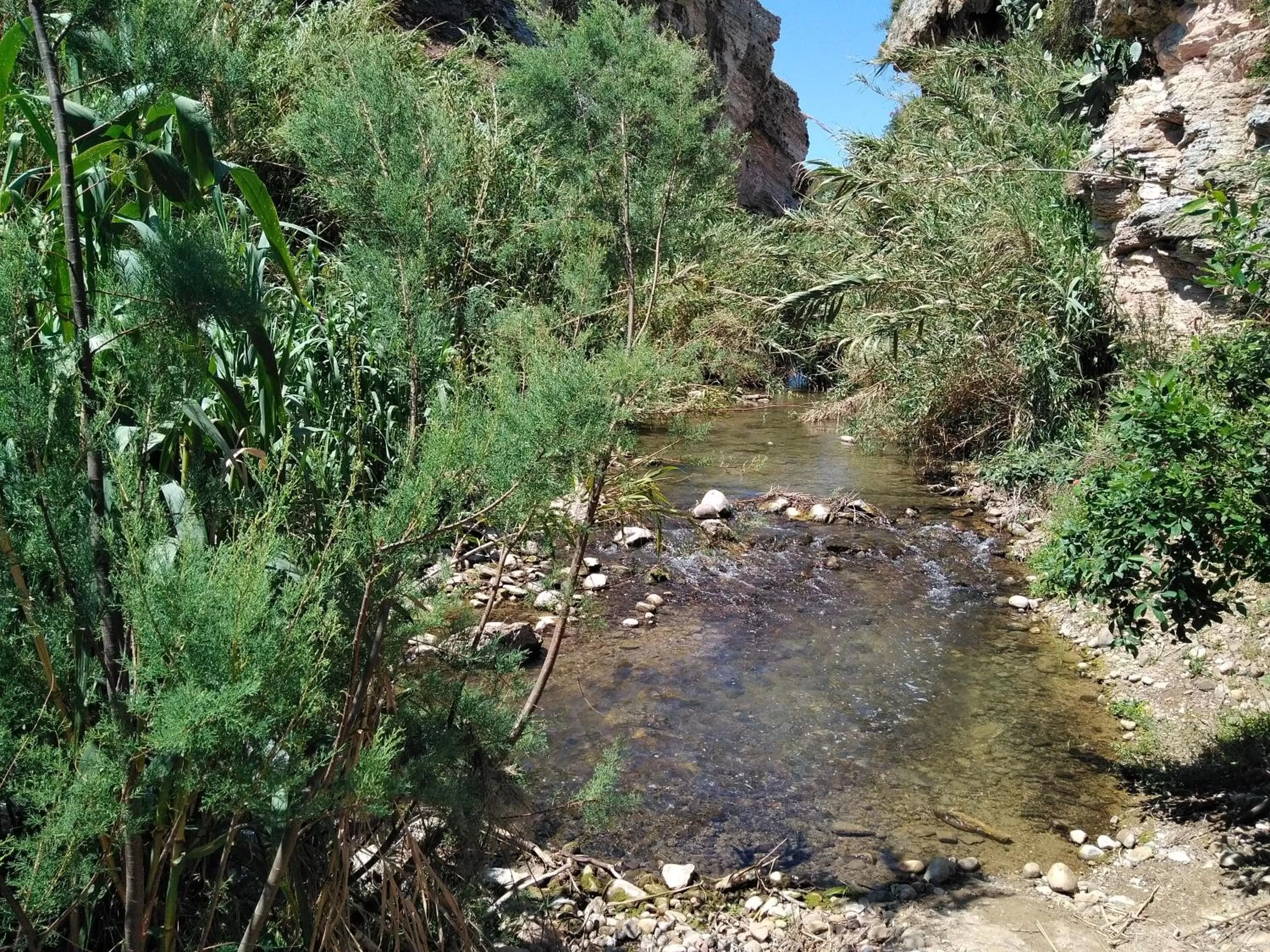 Spring in La Dimora Di Segesta B&B