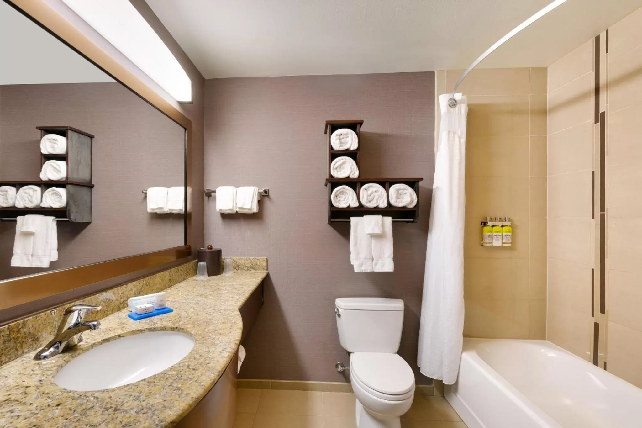 Bathroom in Holiday Inn Express Hotel & Suites Billings by IHG