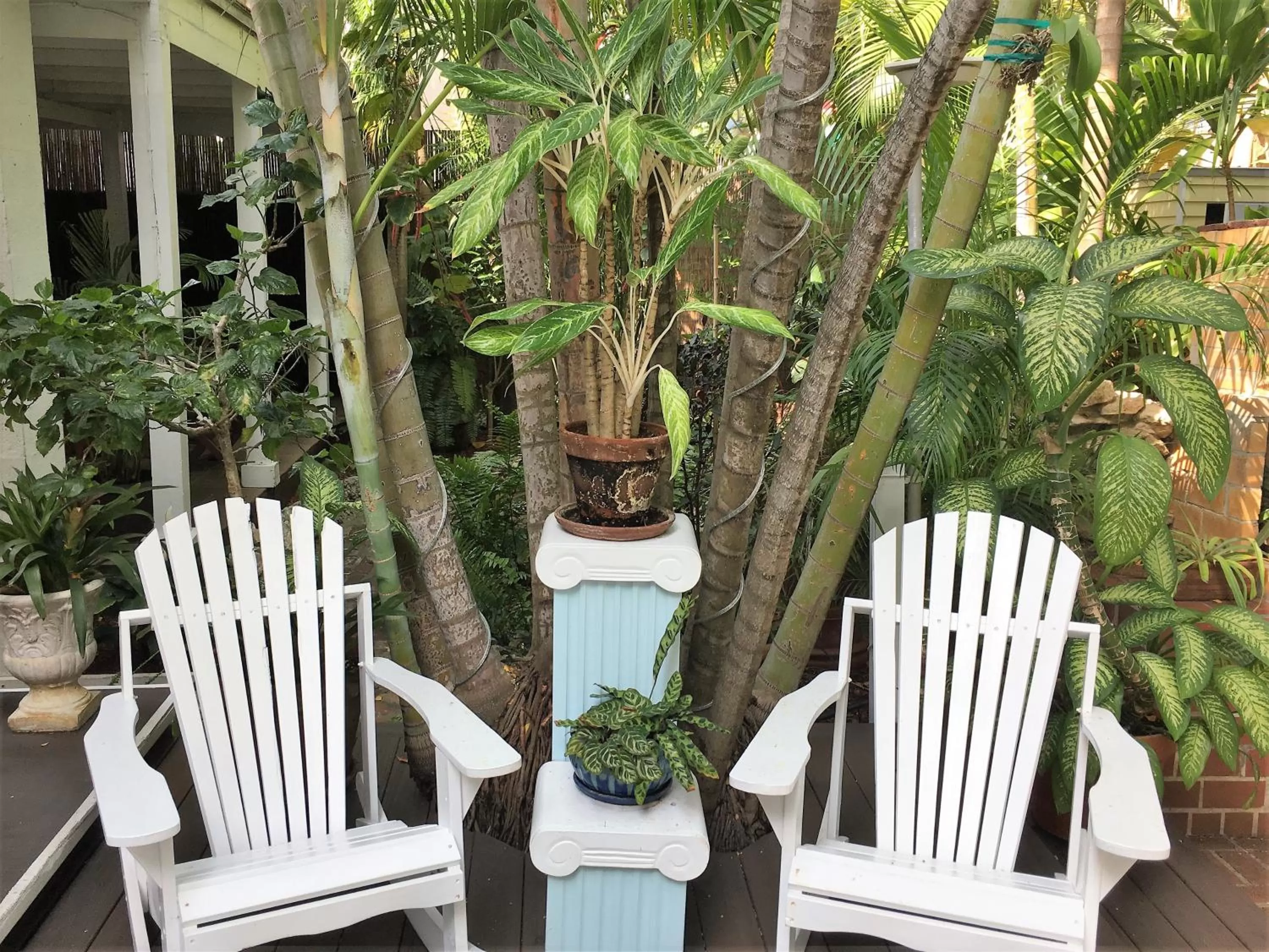 Garden in Douglas House