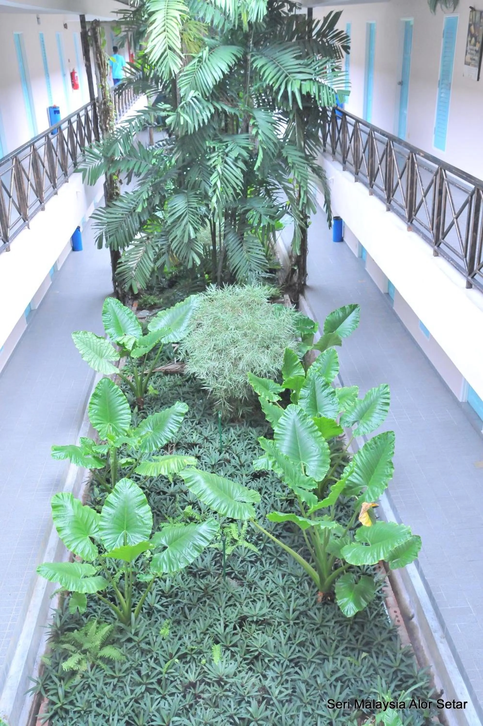 View (from property/room) in Hotel Seri Malaysia Alor Setar