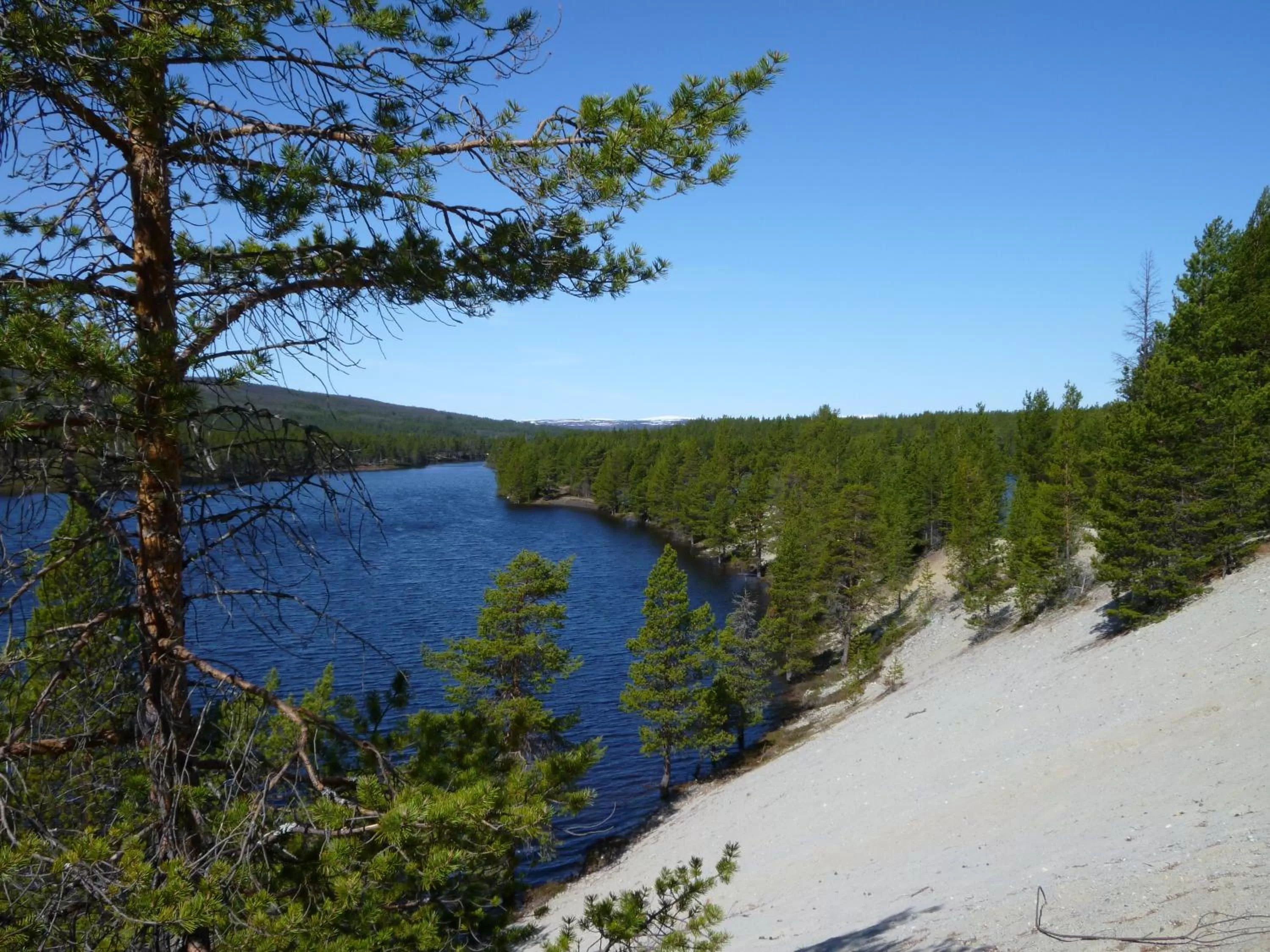 Area and facilities in Unicare Røros Gjesteovernatting