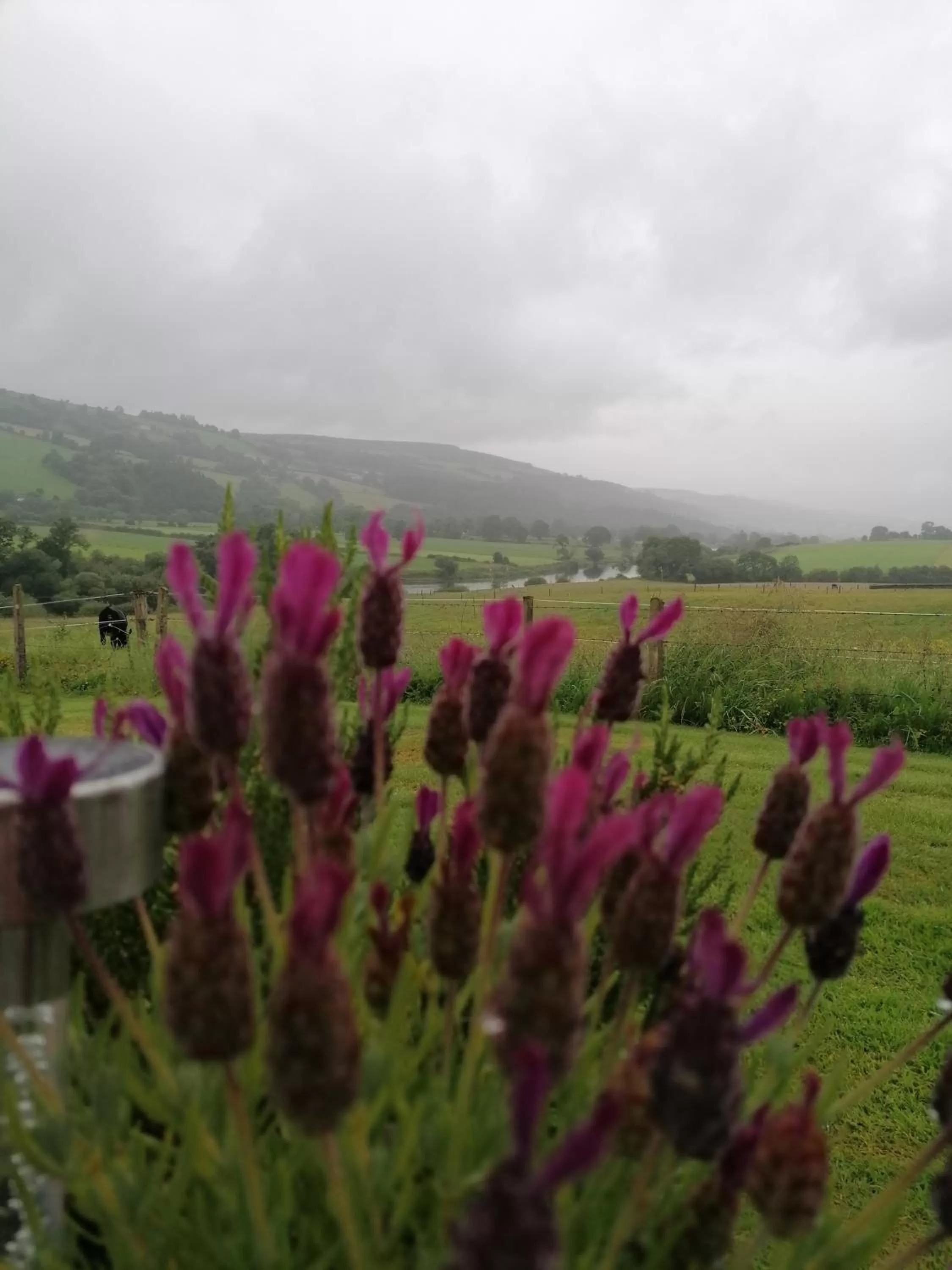 Cable Island Bed and Breakfast