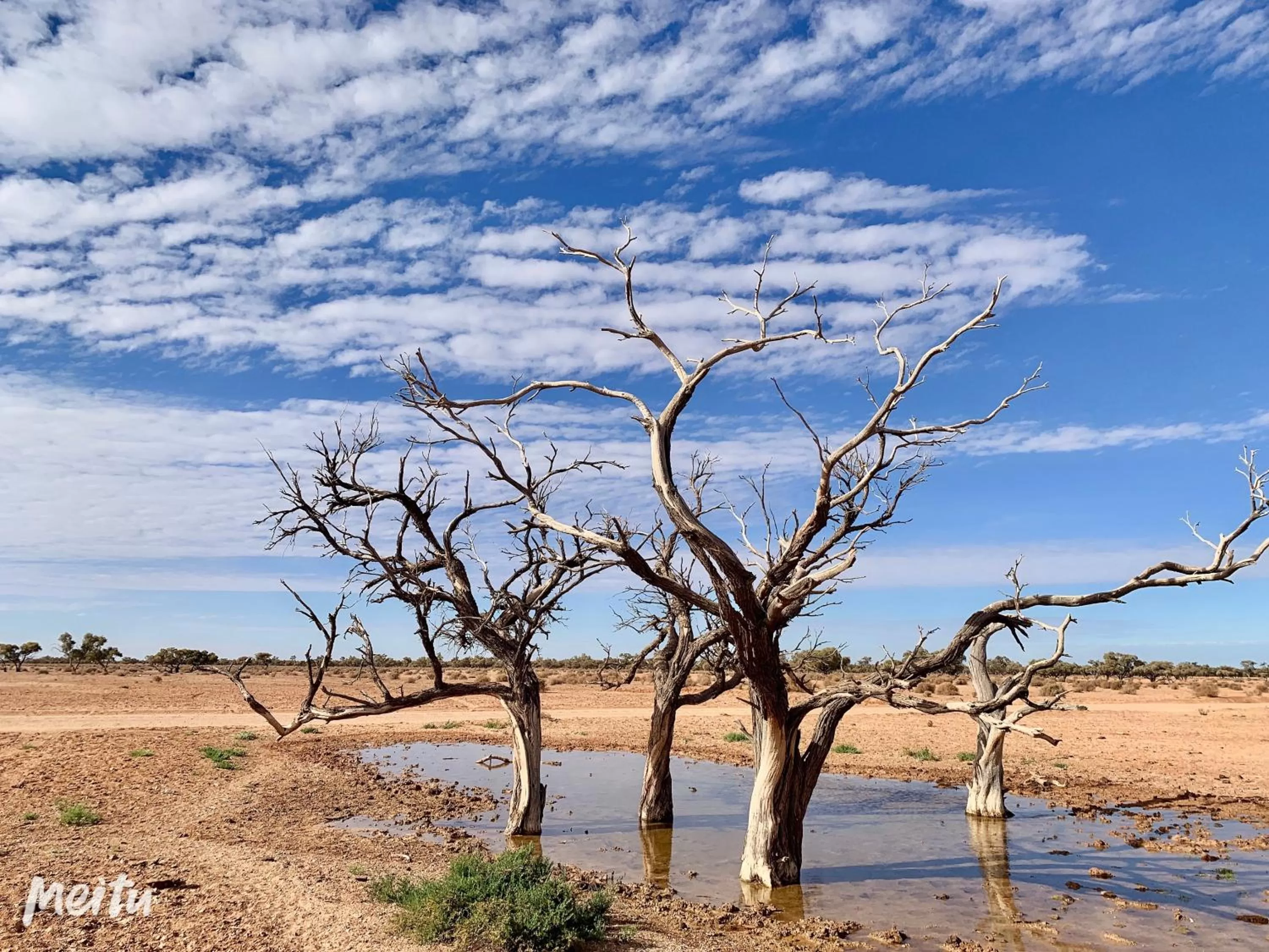 Natural landscape in Opal Inn Hotel, Motel, Caravan Park