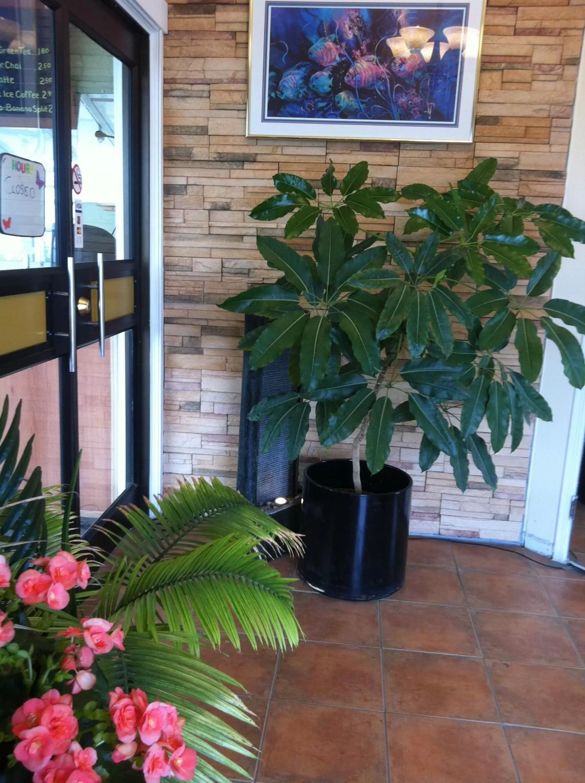 Lobby or reception in Alpine Lodge Motel & Restaurant