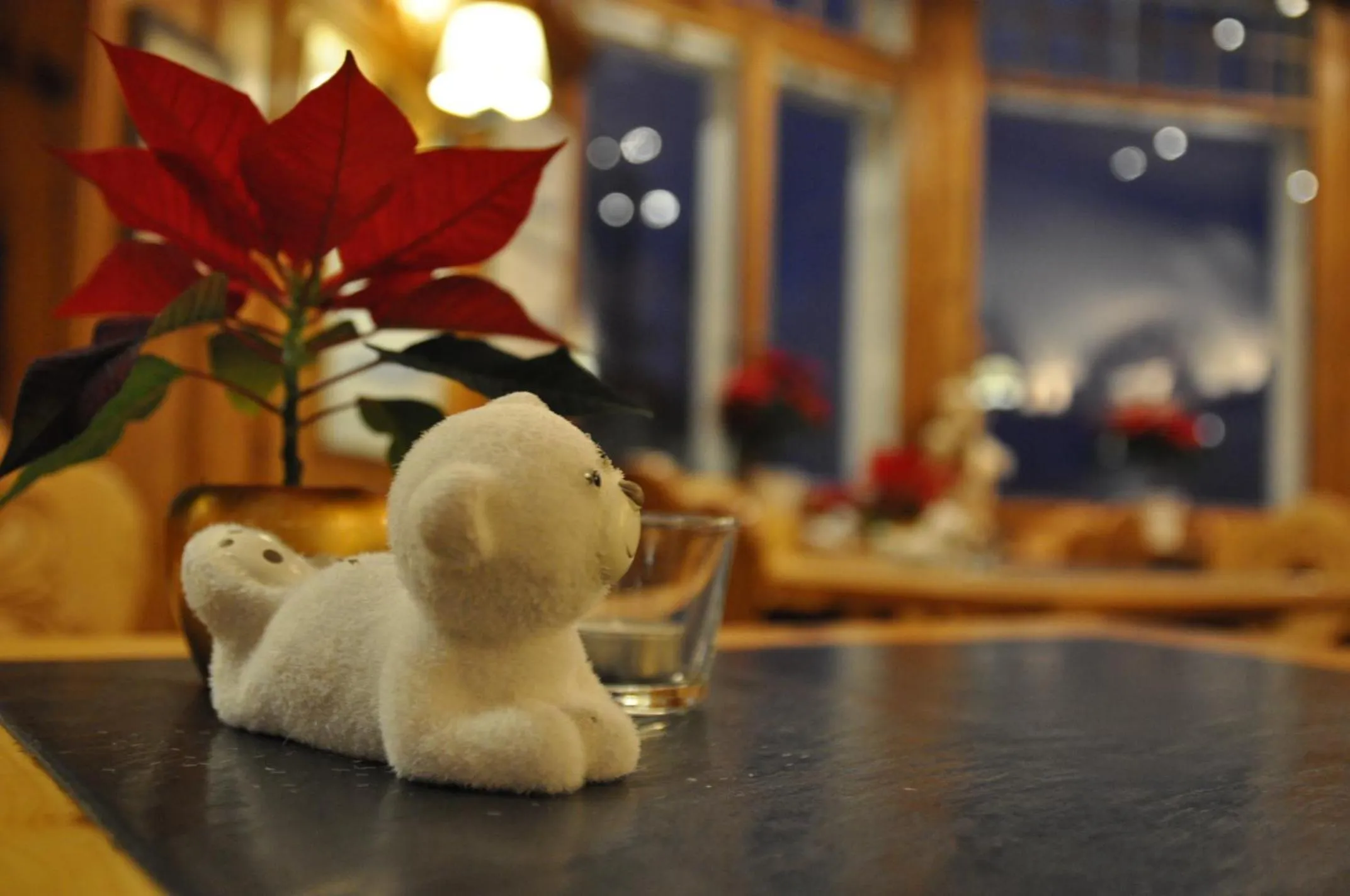 Decorative detail in Soldanella