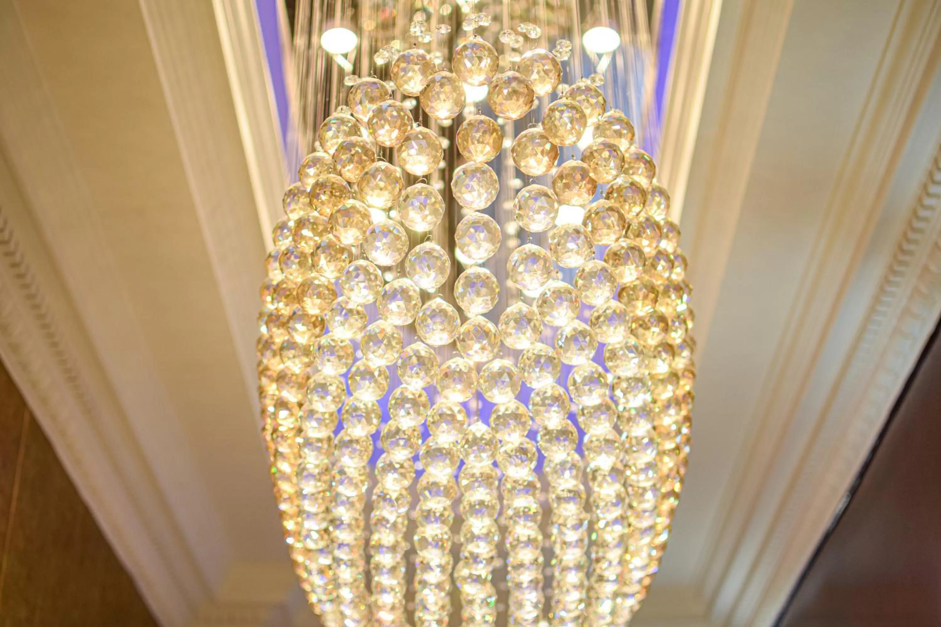 Pembridge Palace Hotel