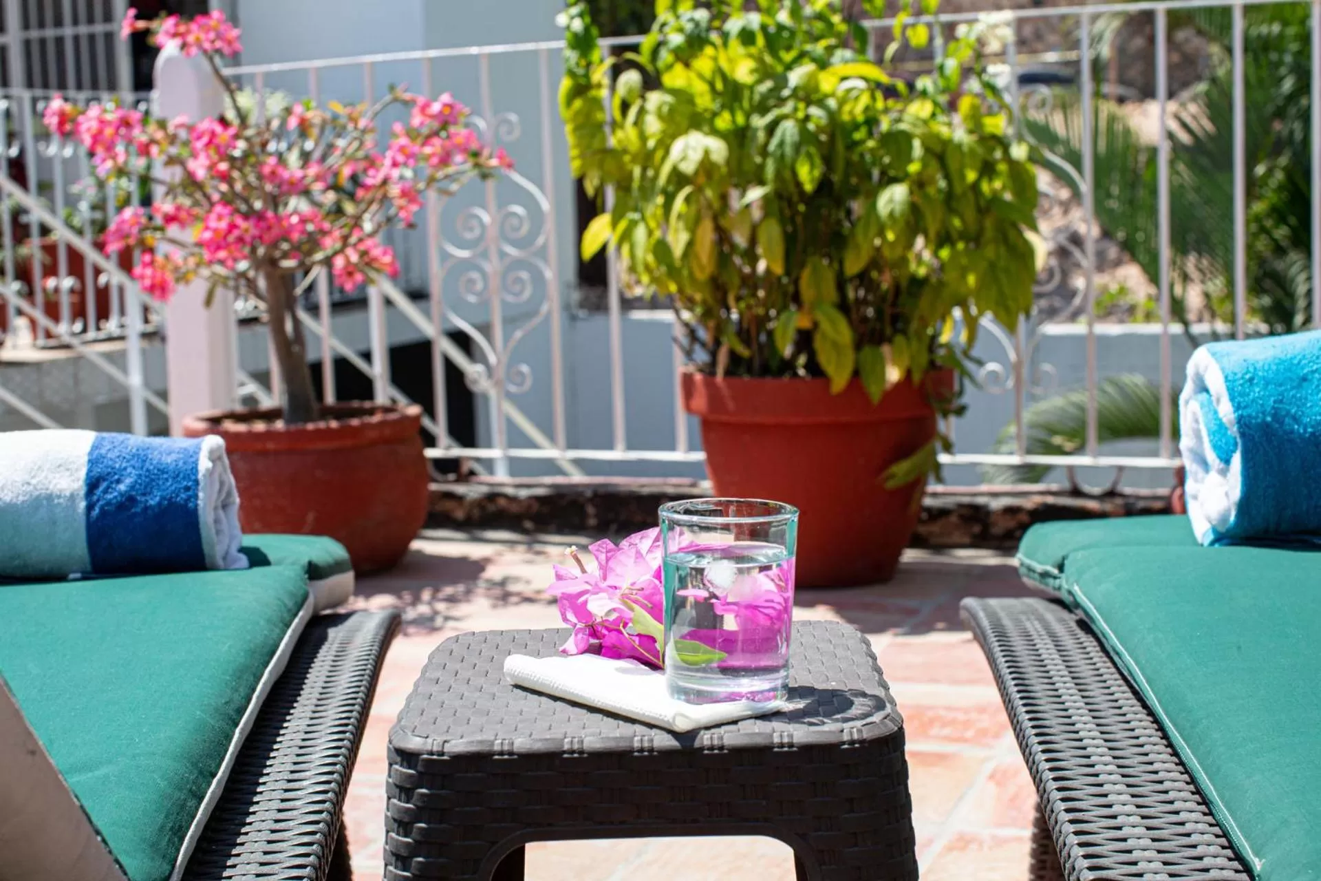 Garden in Casitas Miramar Puerto Vallarta Malecón