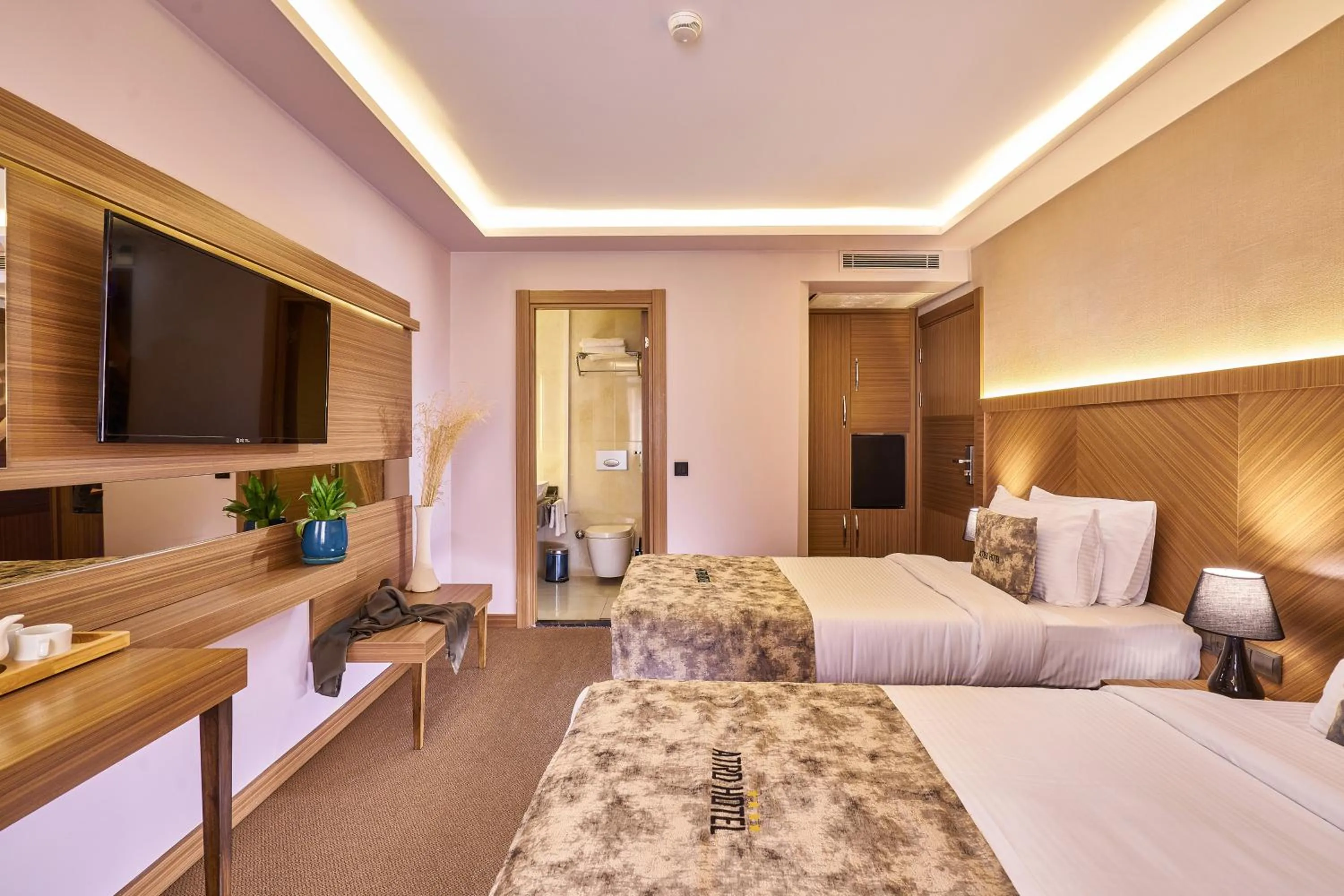 TV and multimedia, Bed in Atro Hotel