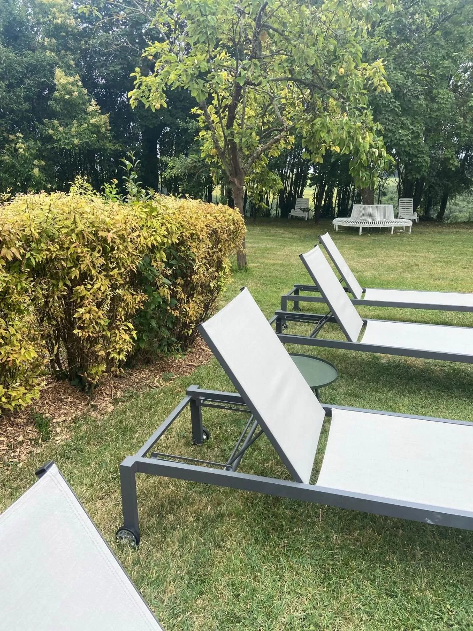 Garden in Manoir du Bouyssou