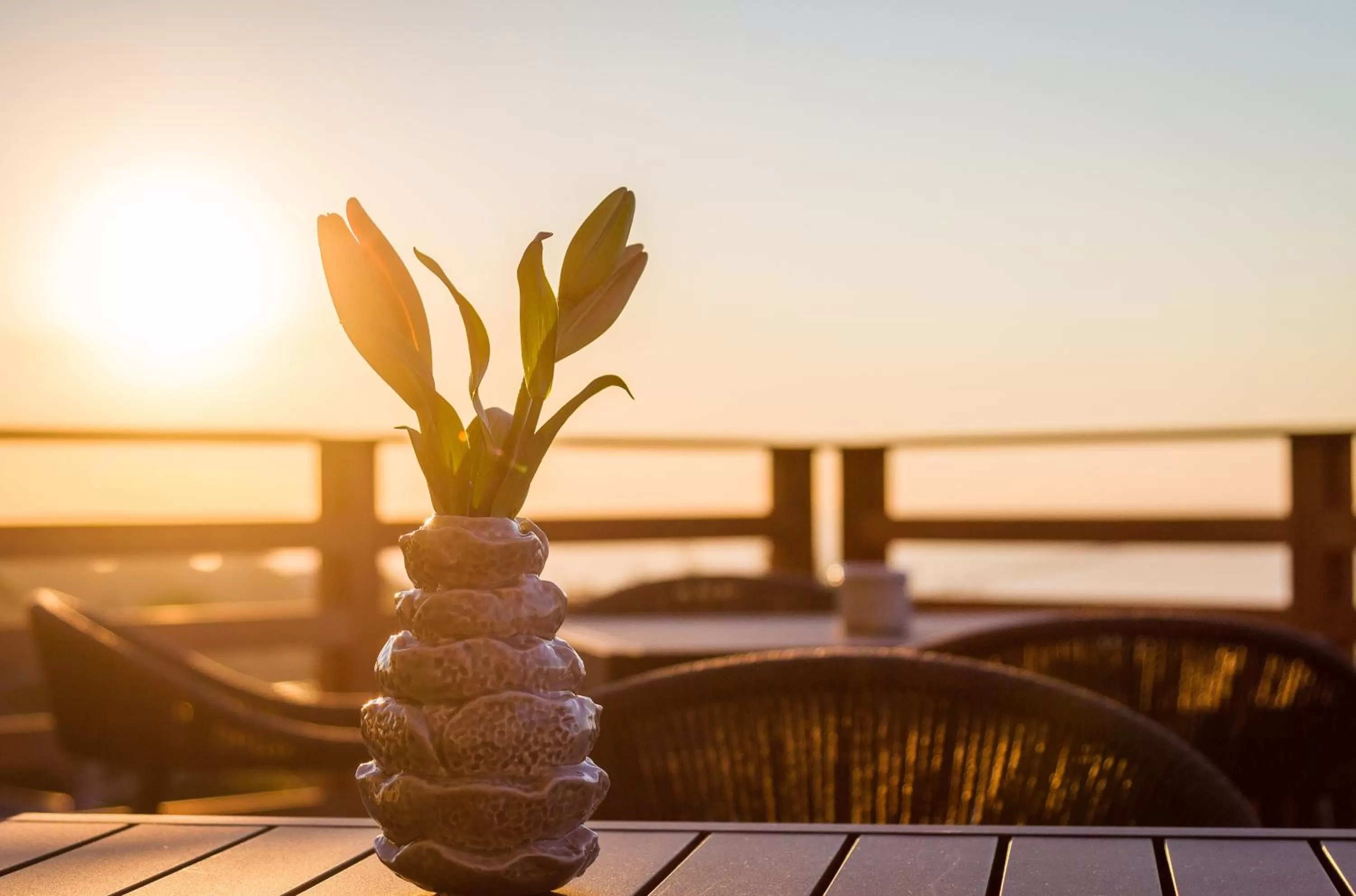 Winter in Endless Horizons Boutique Hotel