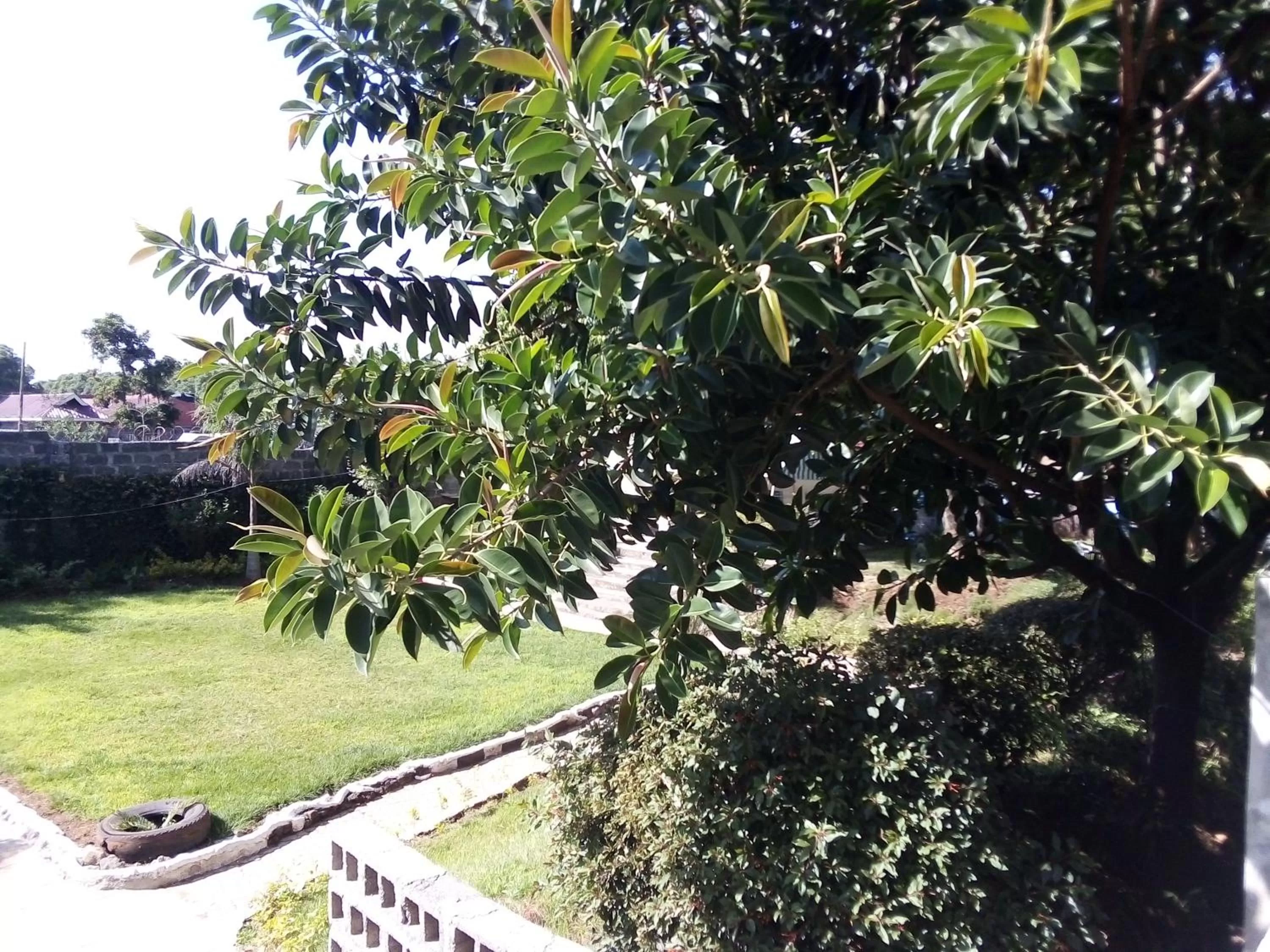 Vienna Woods Hotel Nakuru