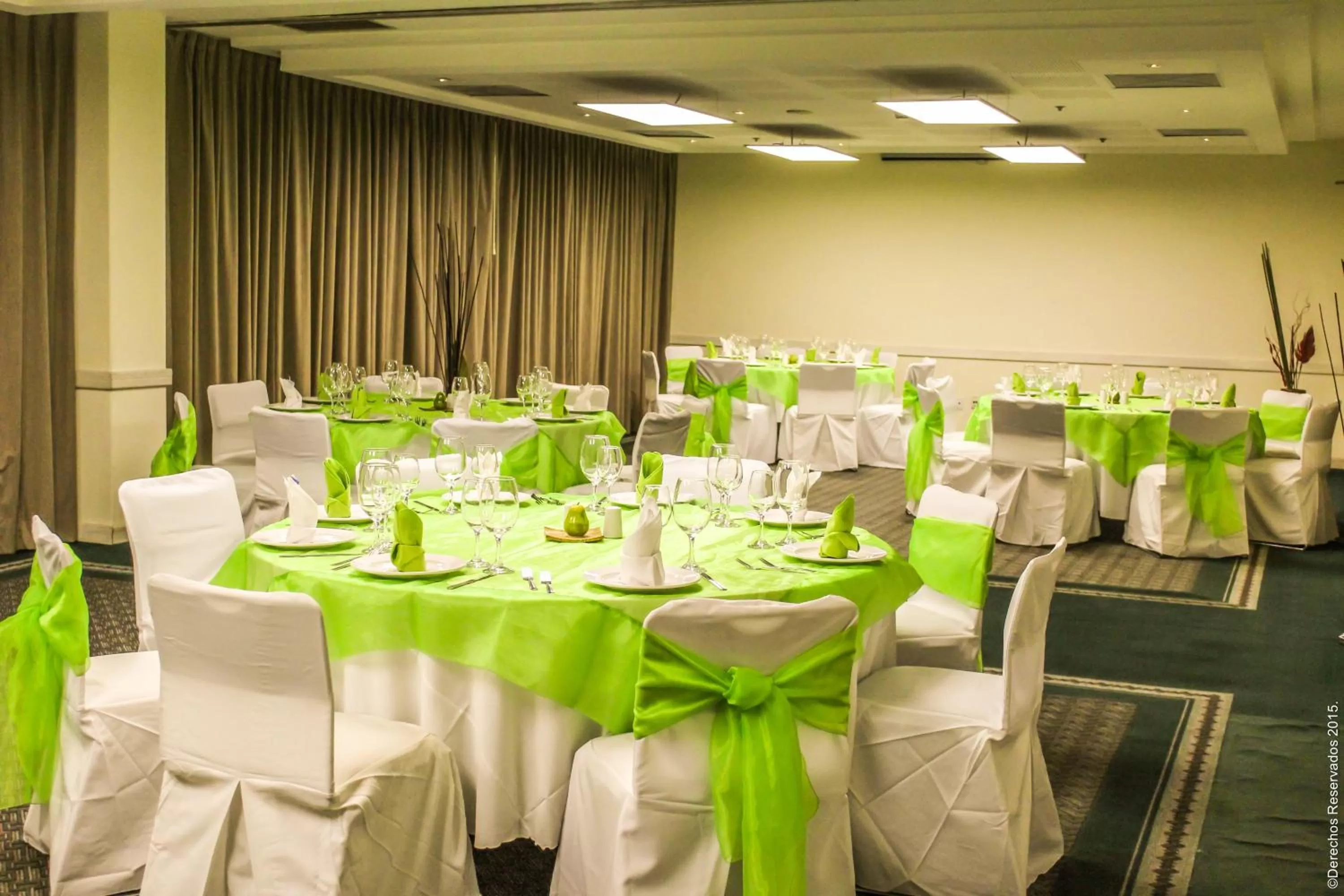 Banquet/Function facilities in Holiday Inn Leon by IHG