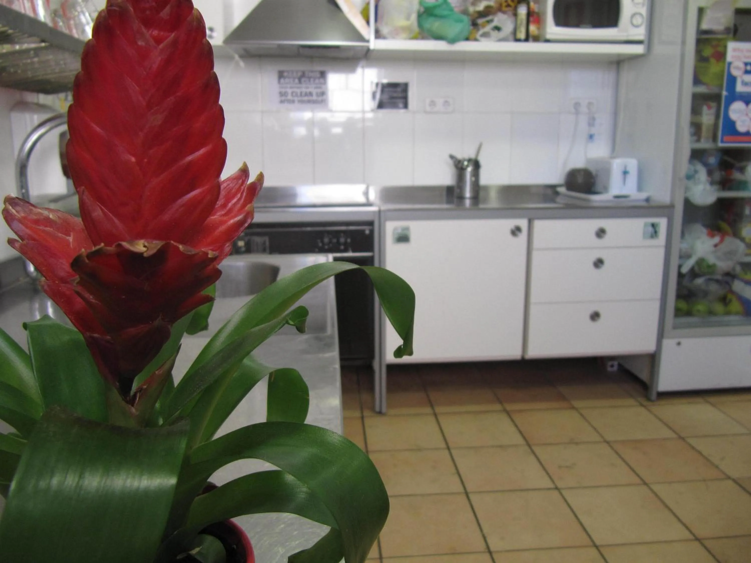 Kitchen or kitchenette in Mellow Barcelona