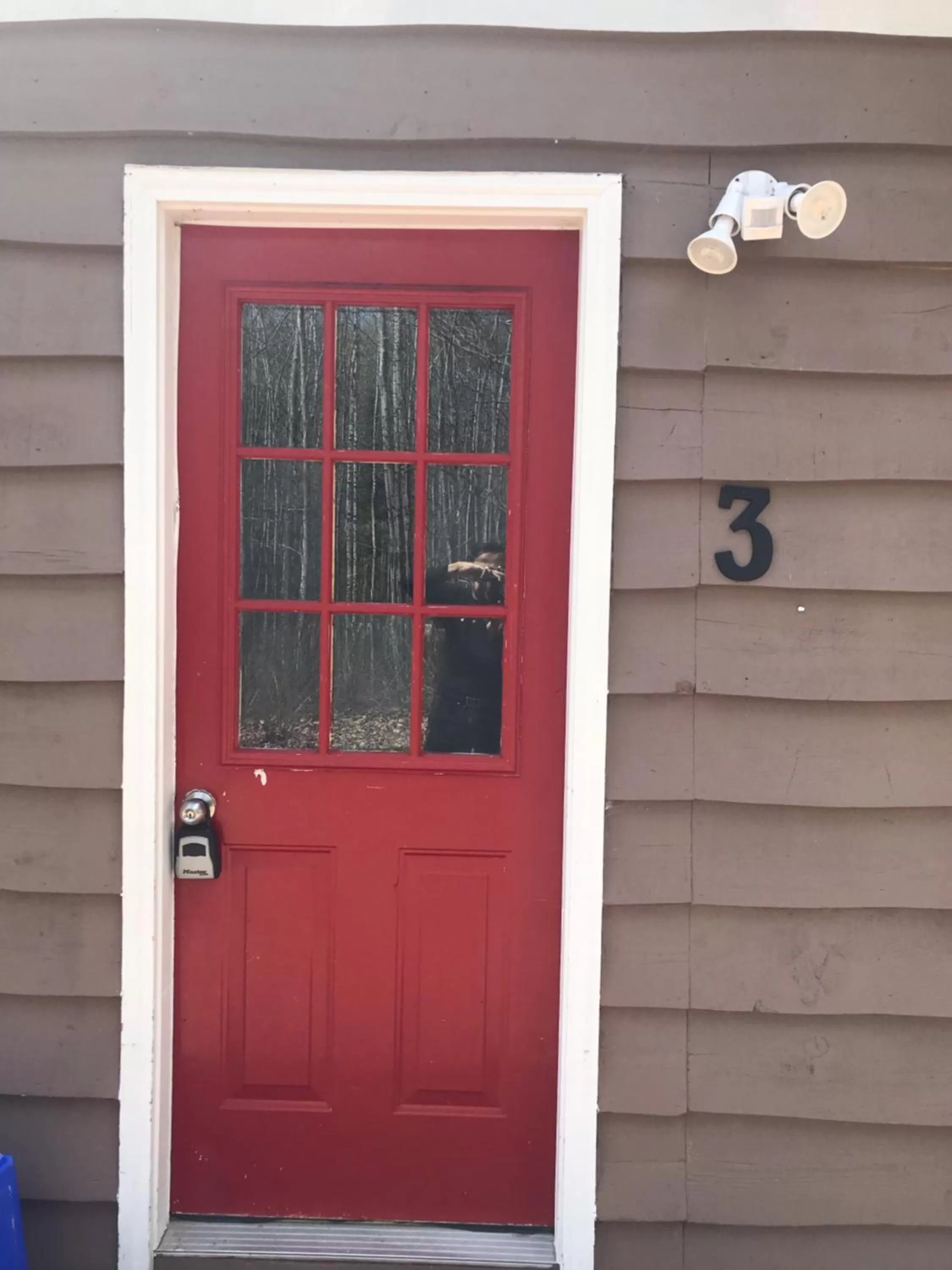 Hush Lodge and Cottages