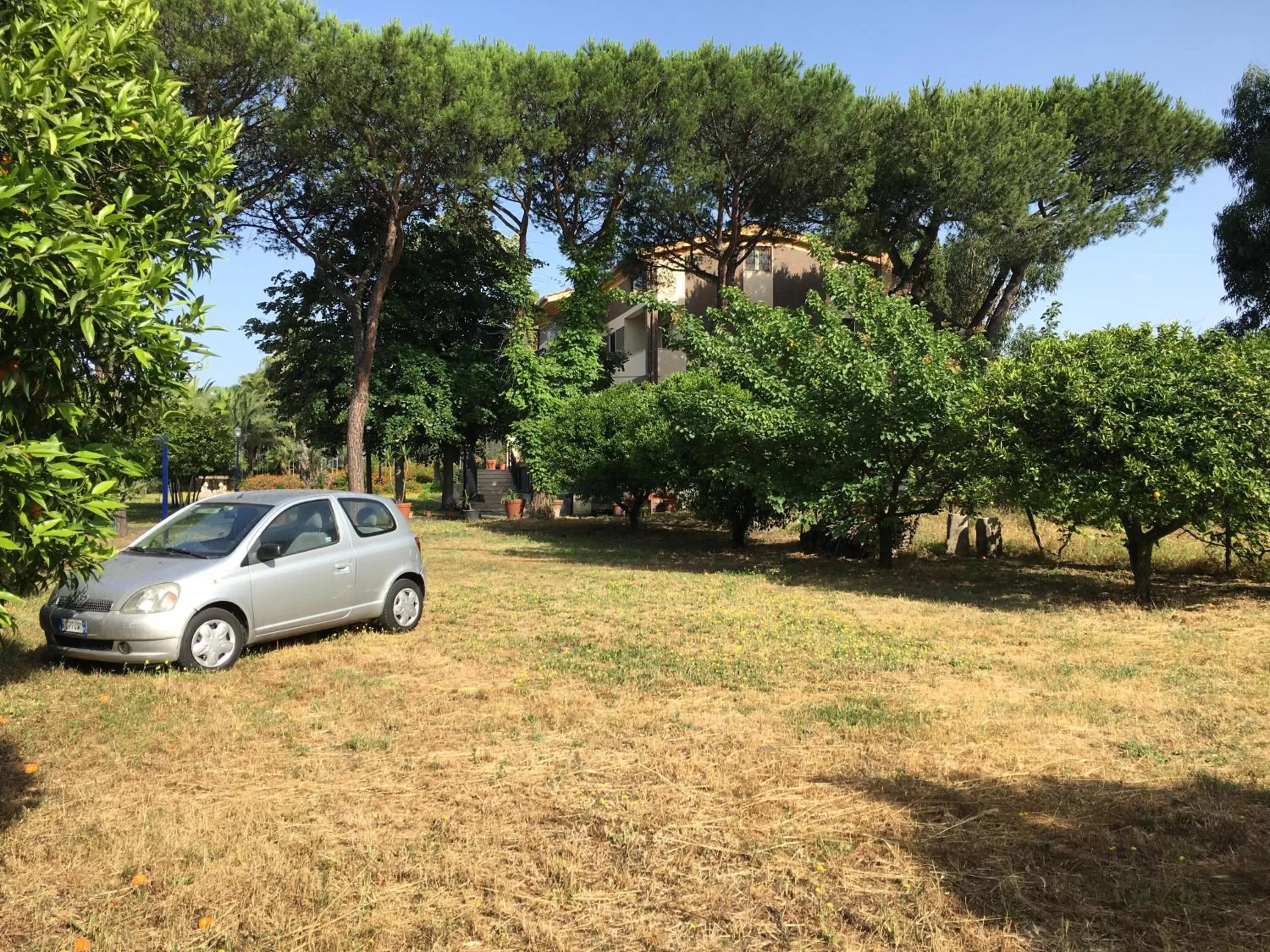 Area and facilities in Villa Viuli