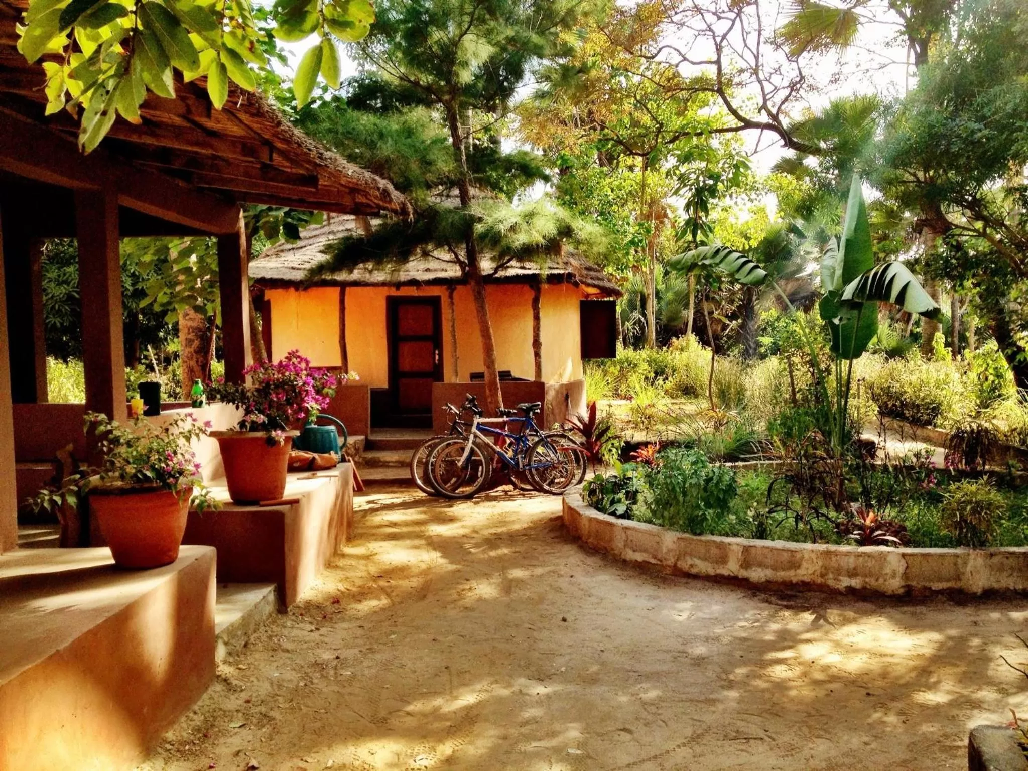 Garden in Nemasu Eco-lodge