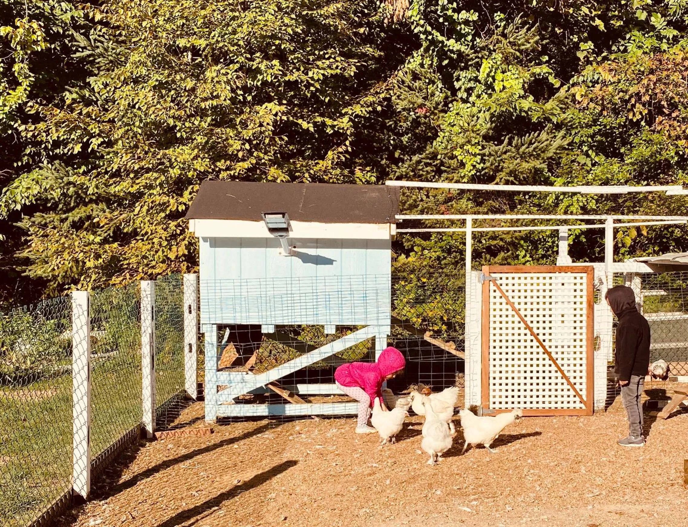 Arcady Mountain Motor Lodge