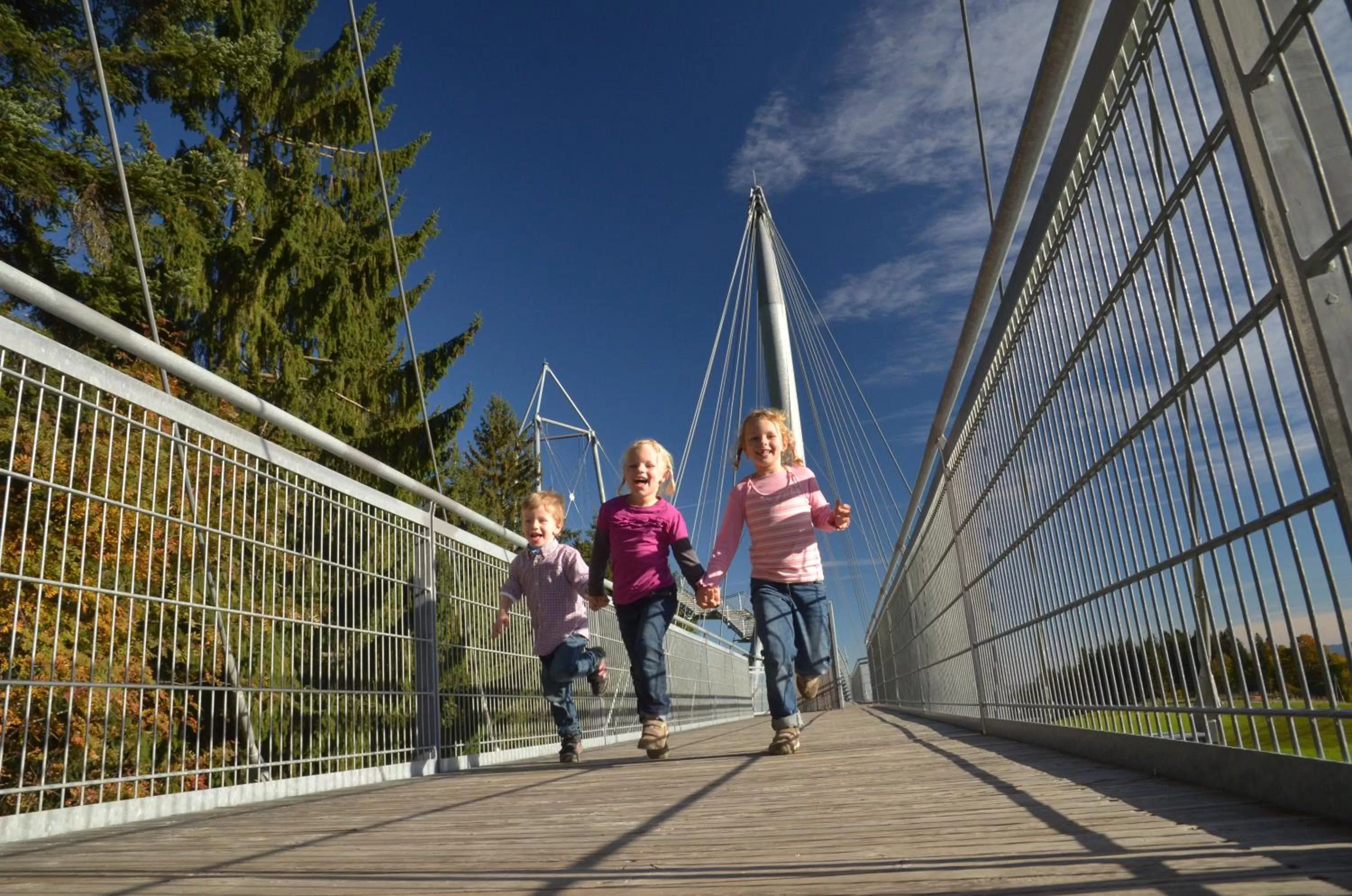 Area and facilities in Hotel Post