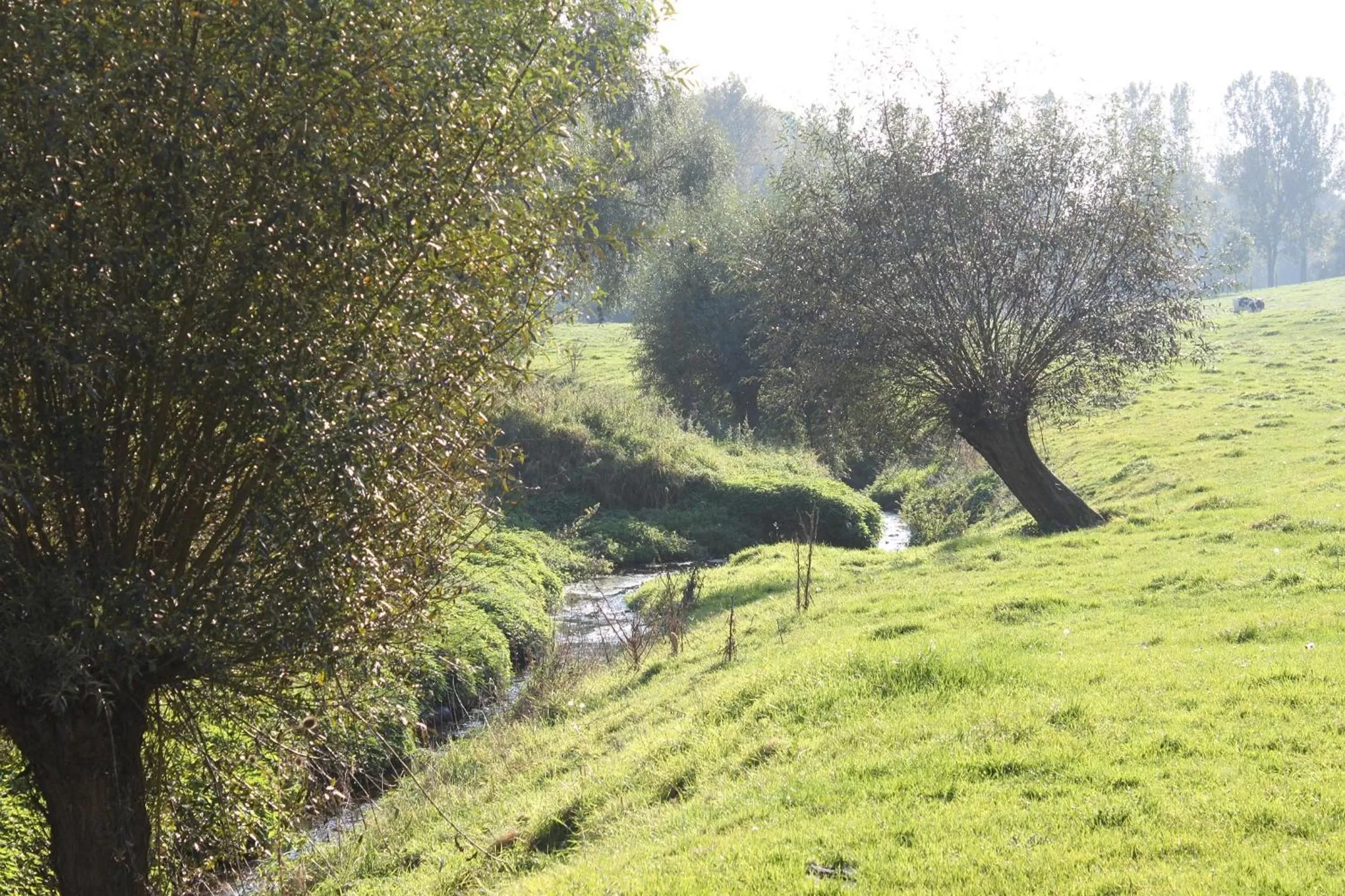 Area and facilities, Garden in Bed en Breakfast VerdeSud