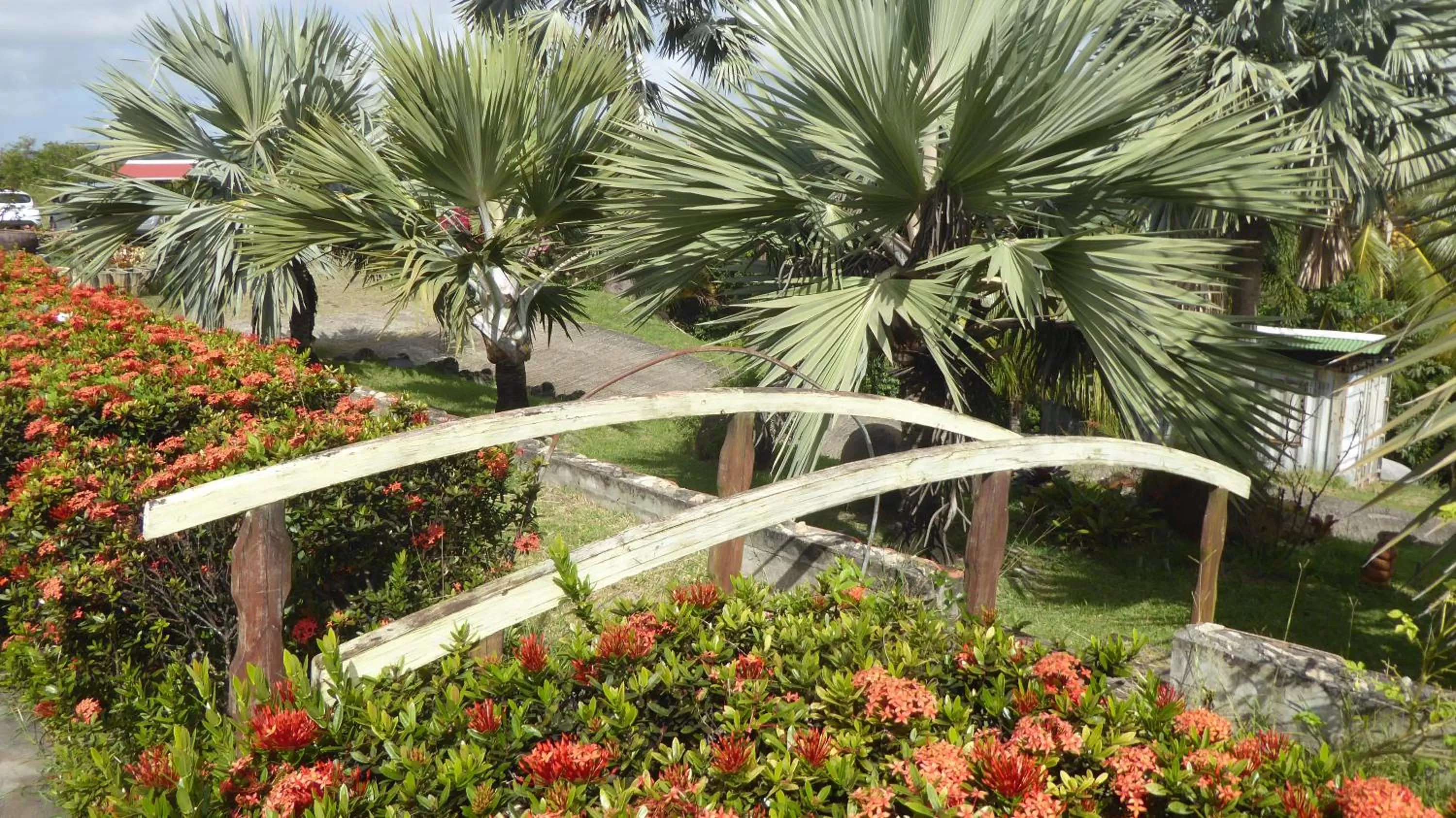 Garden view, Garden in Bed and breakfast Riviere