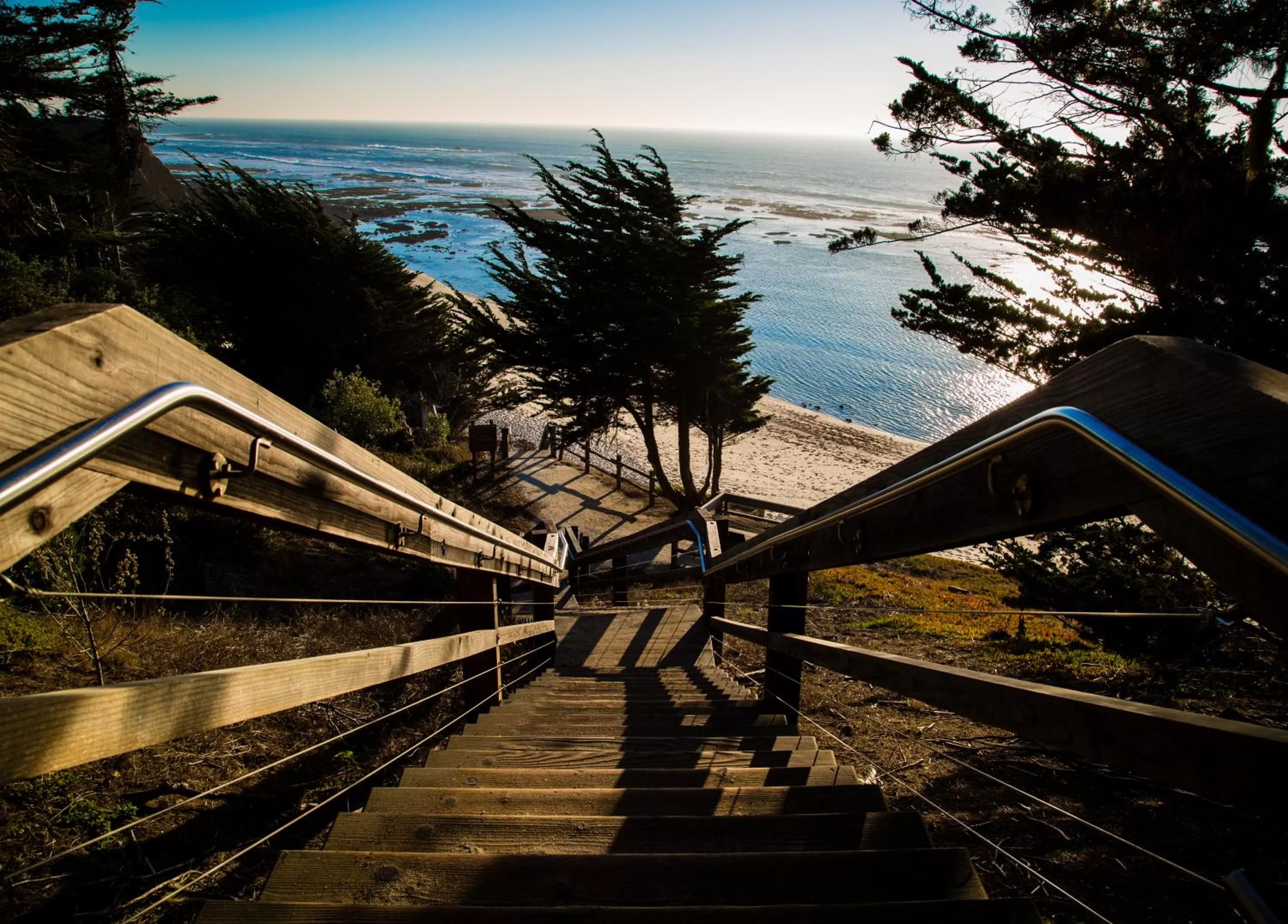 Other in Seal Cove Inn