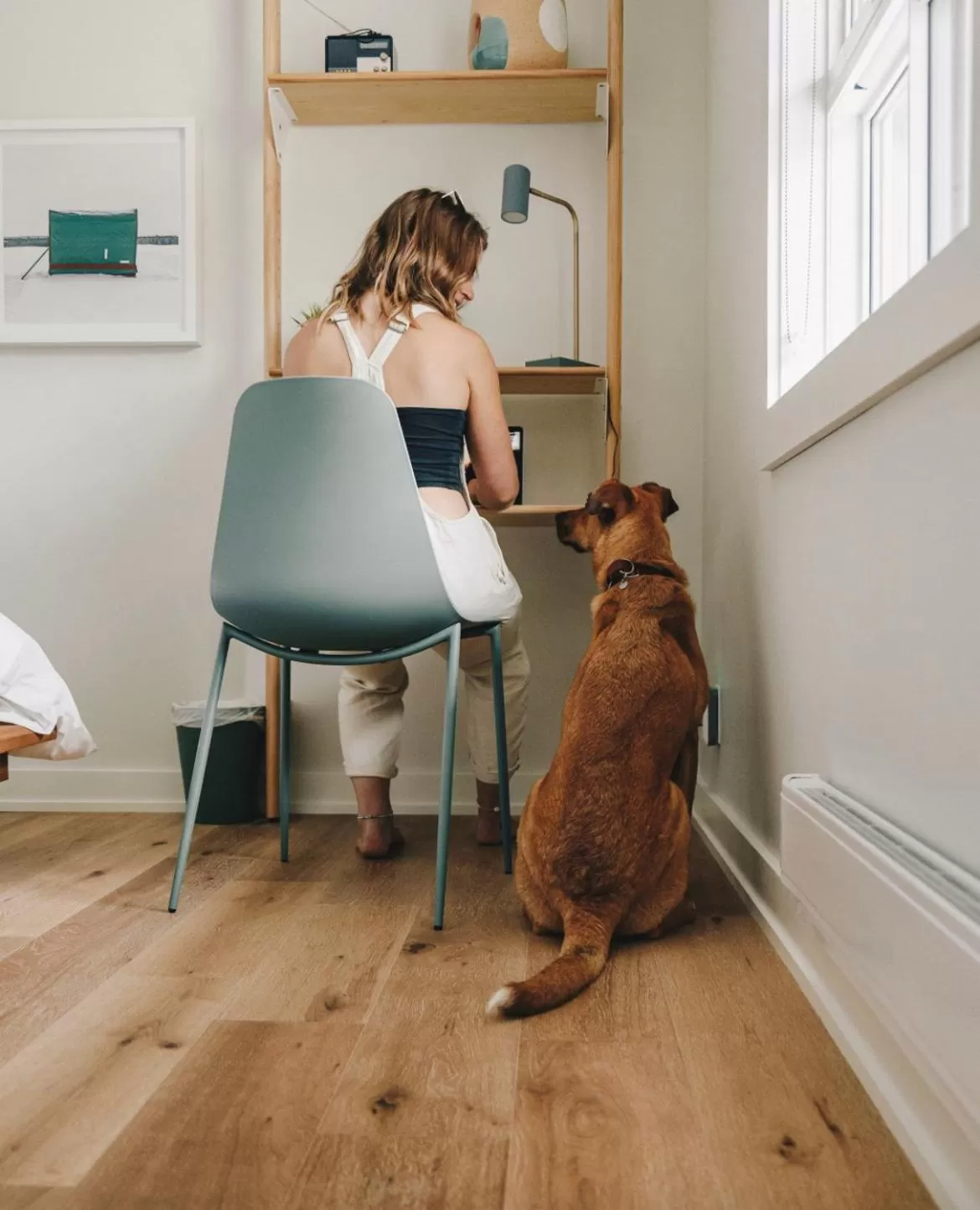 Pets in Penny's Motel