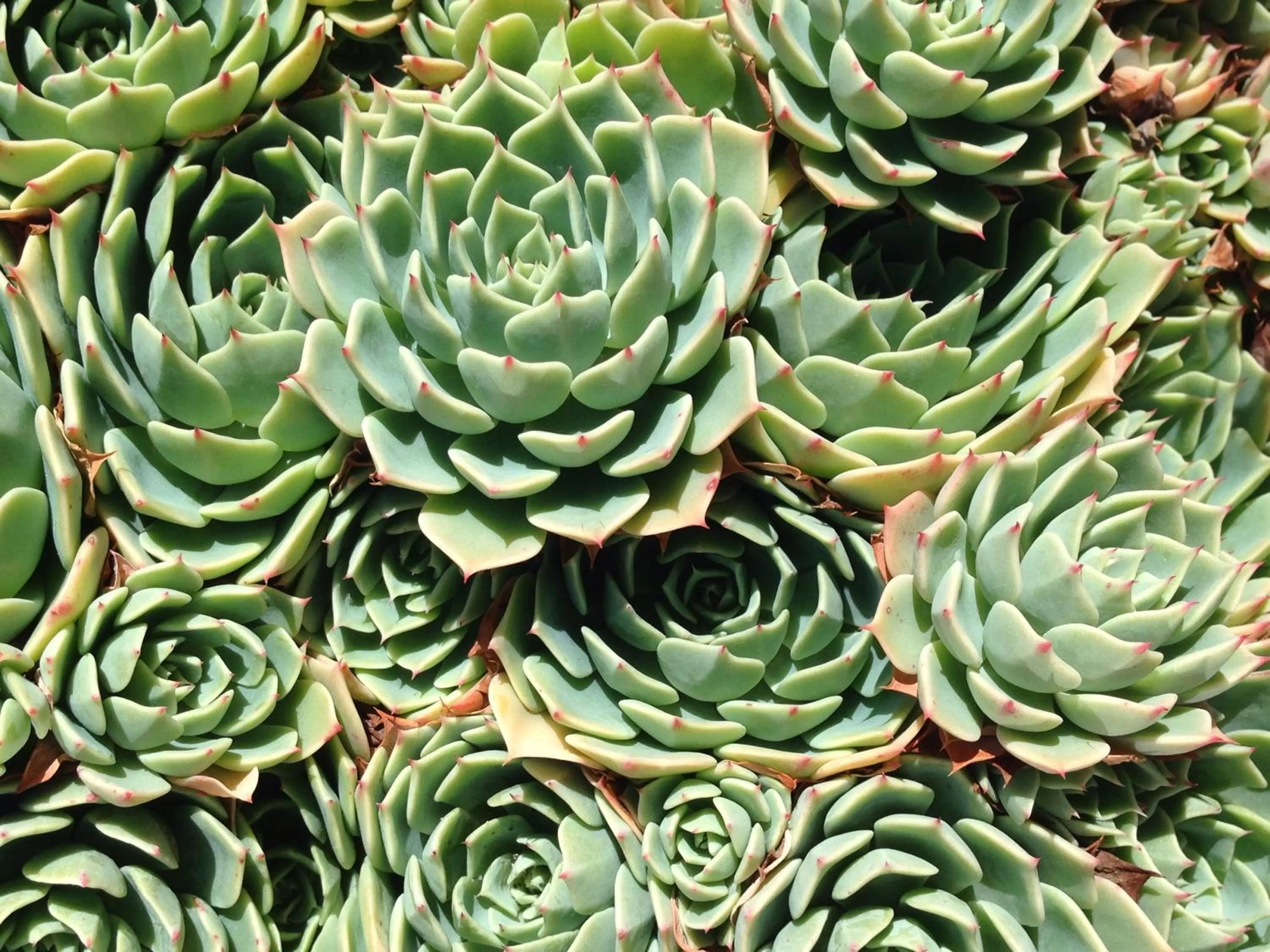 Other in Teviot View Accommodation