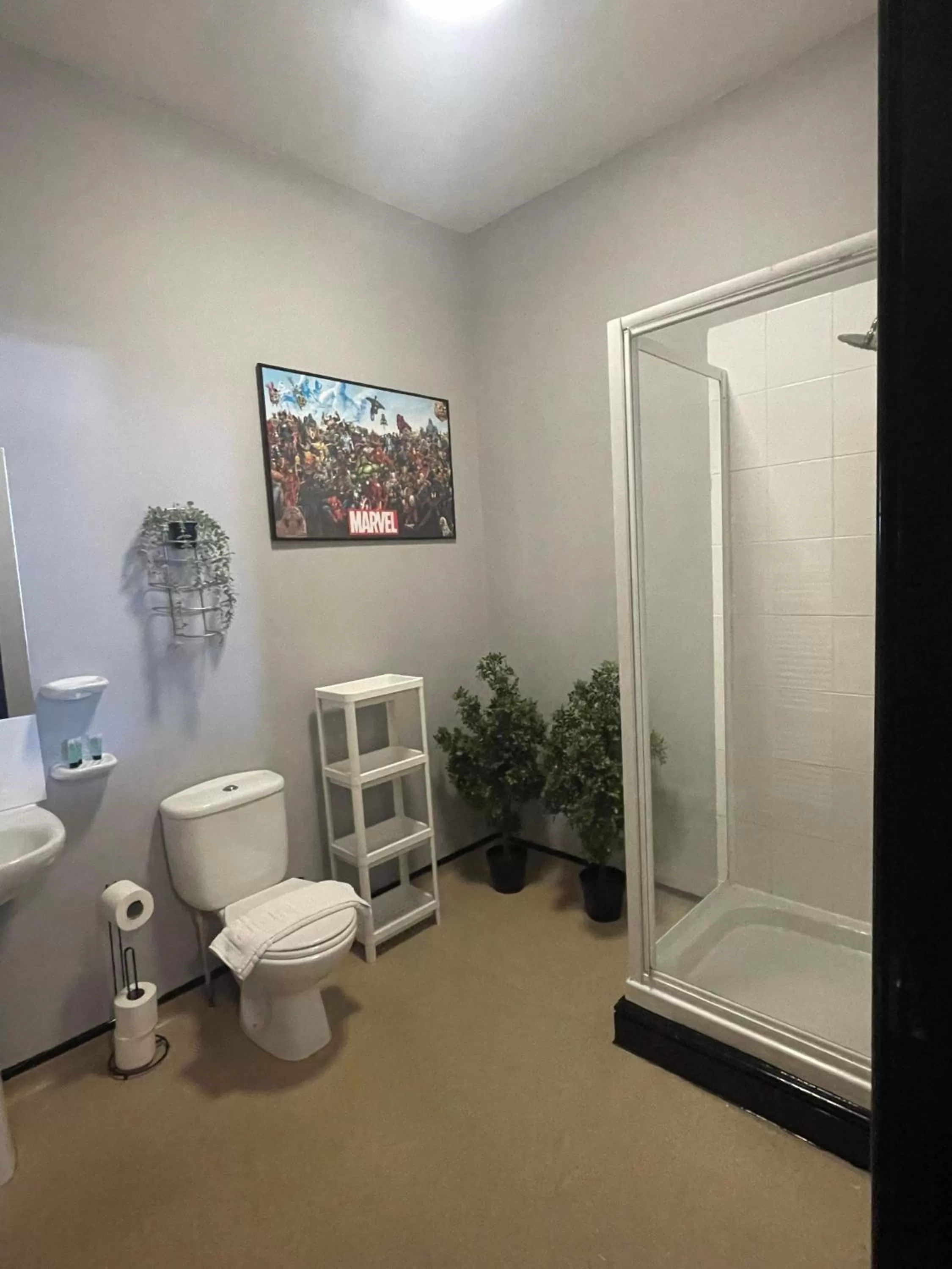 Shower, Bathroom in Bay view rooms at Mentone Hotel